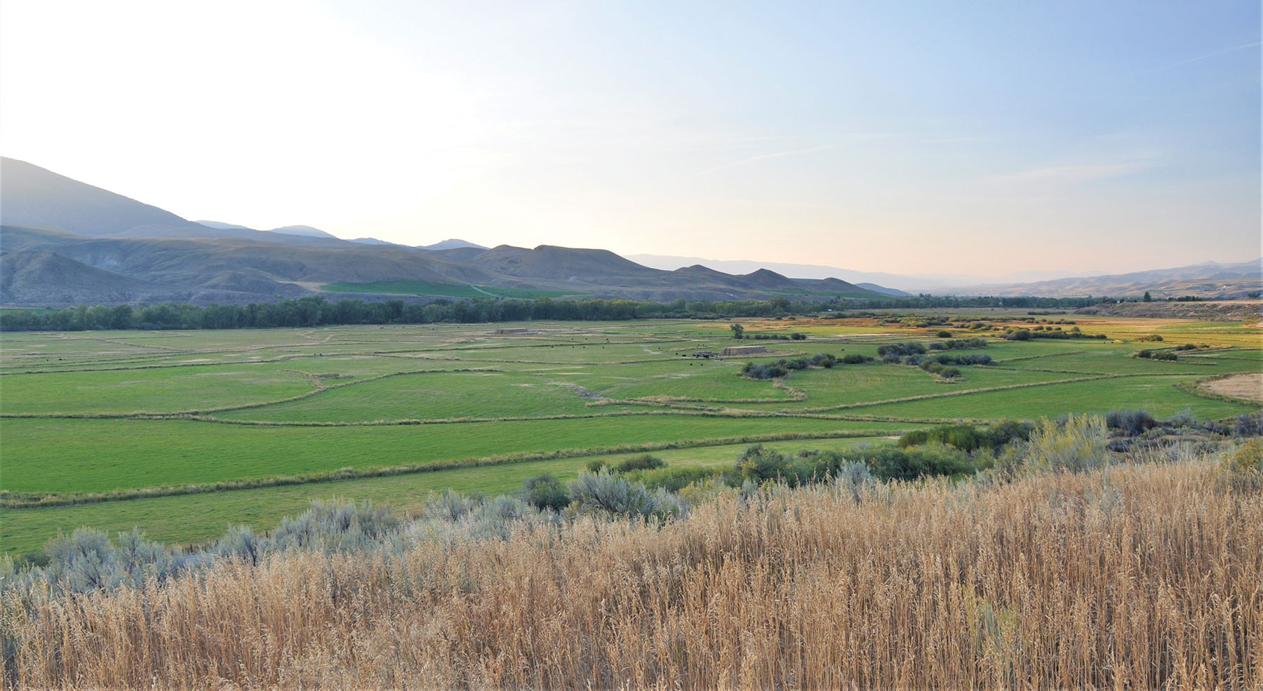 Muleshoe Ranch property picture 2 of 60