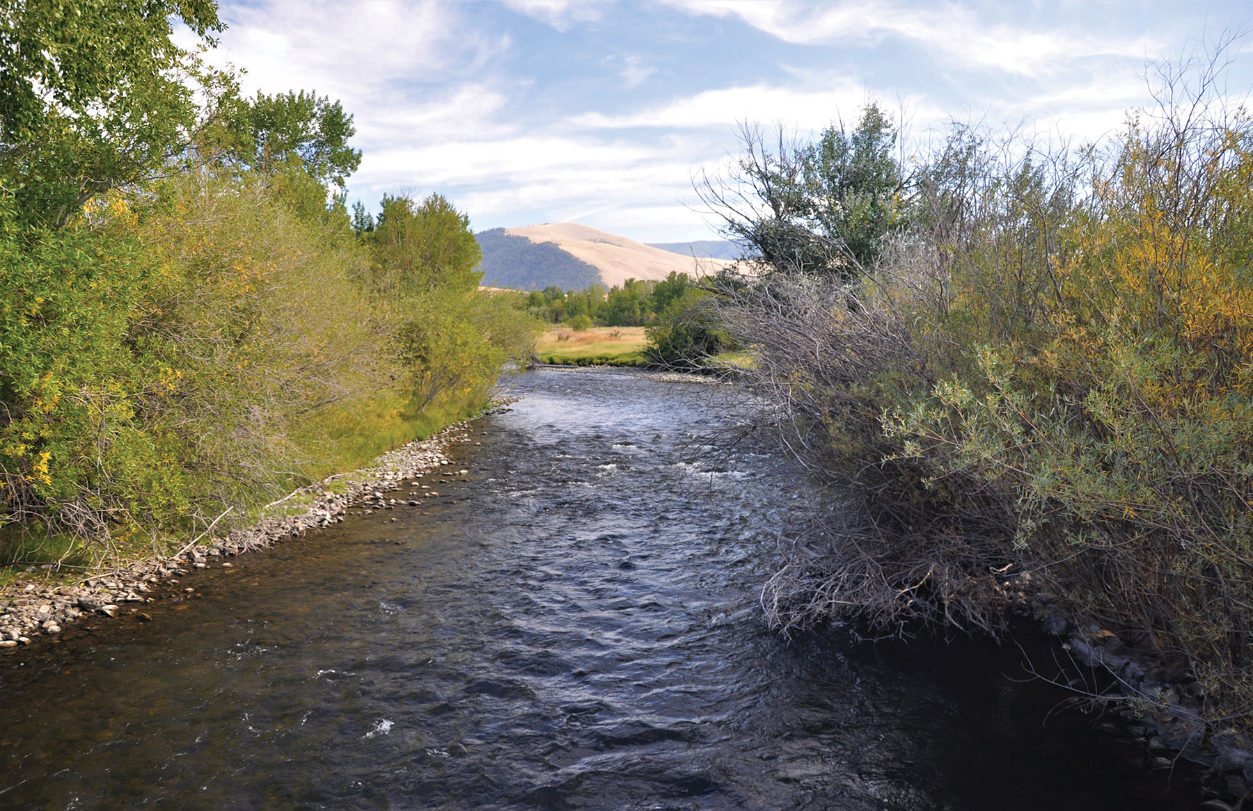 Muleshoe Ranch property picture 34 of 60