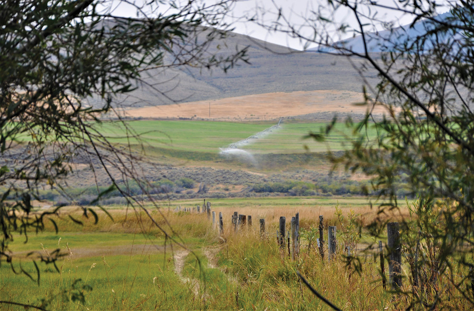 Muleshoe Ranch property picture 54 of 60