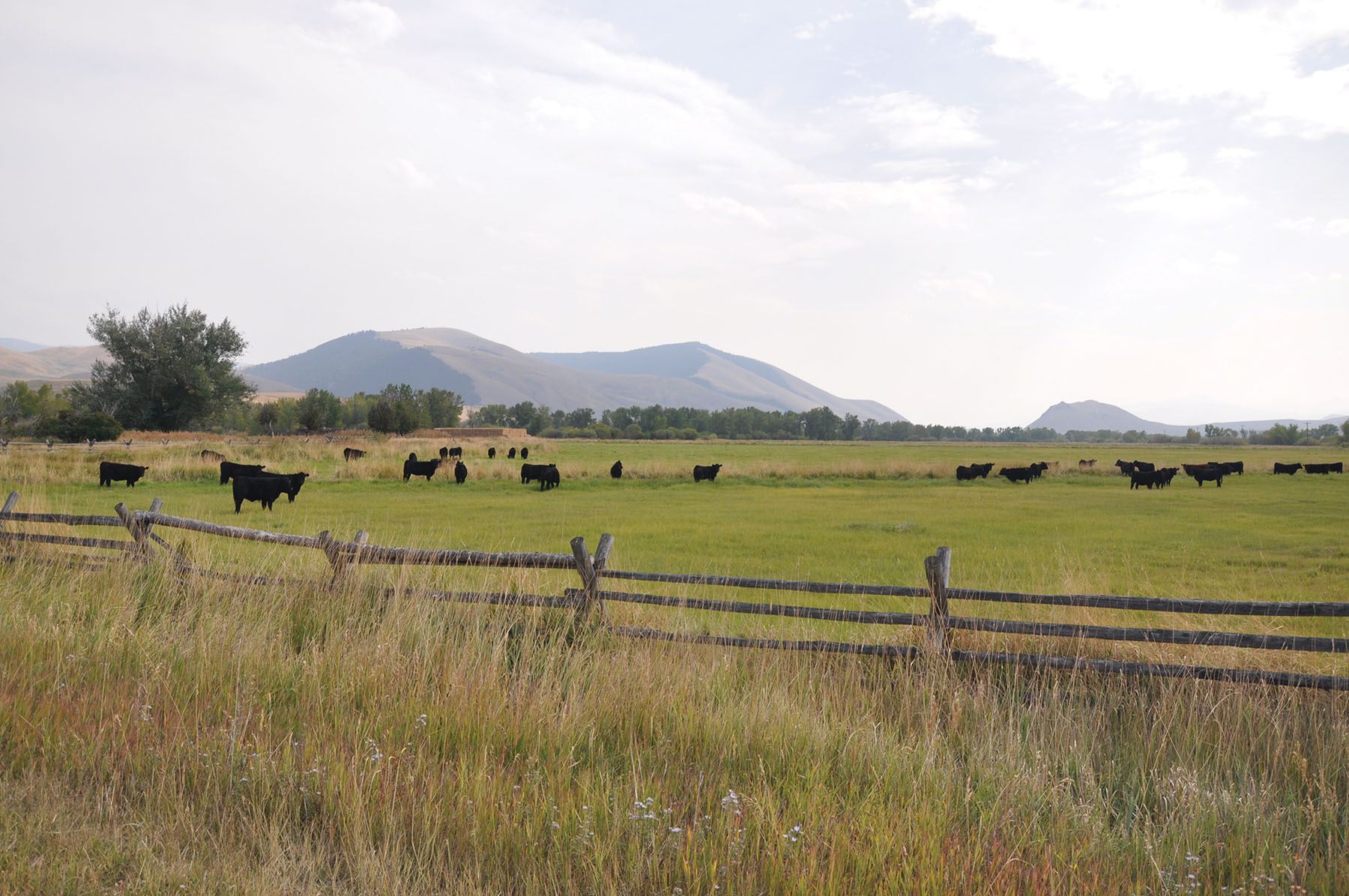 Muleshoe Ranch Sold Idaho Hall and Hall