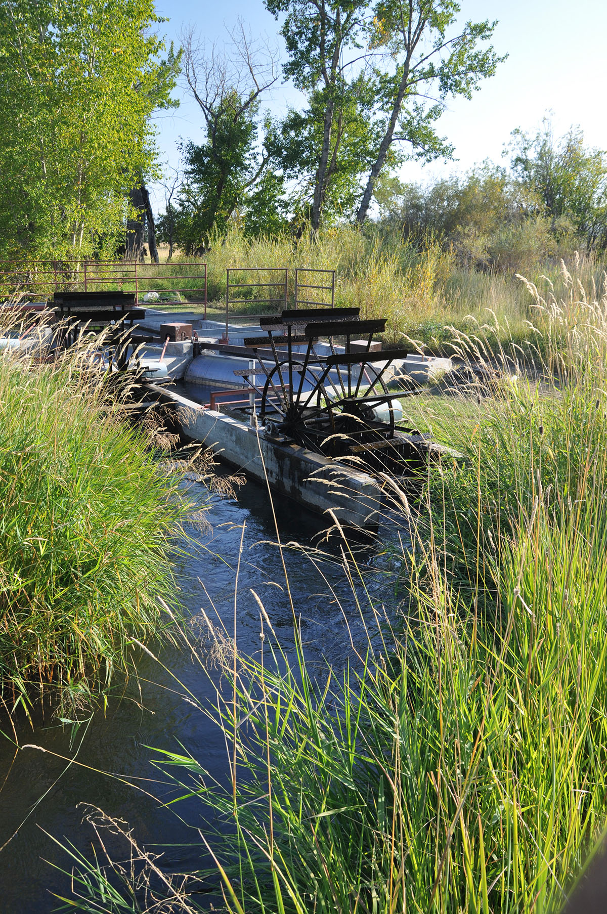 Muleshoe Ranch property picture 11 of 60