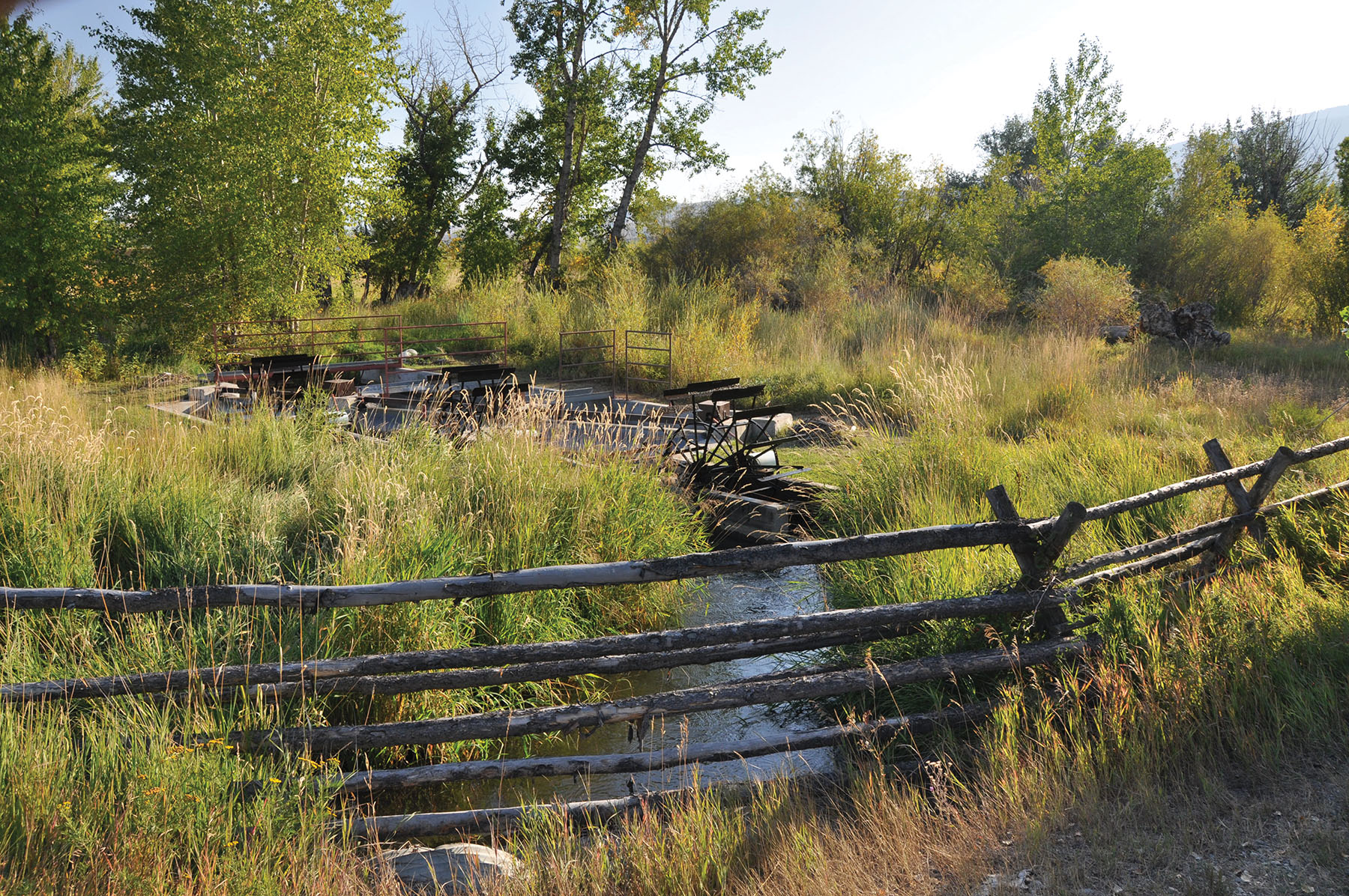 Muleshoe Ranch Sold Idaho Hall and Hall