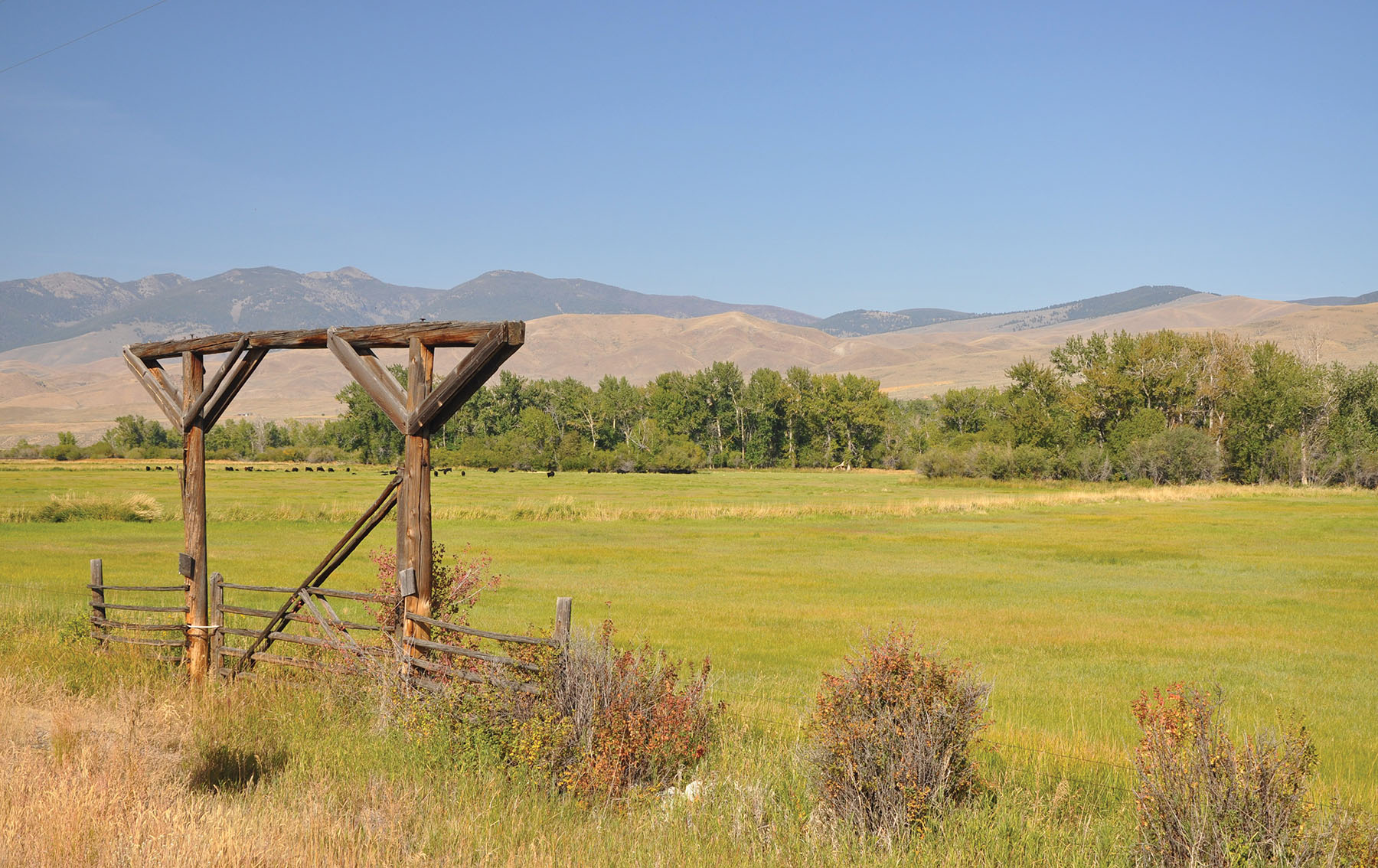 Muleshoe Ranch property picture 33 of 60