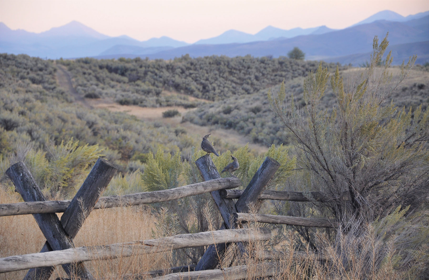 Muleshoe Ranch property picture 14 of 60