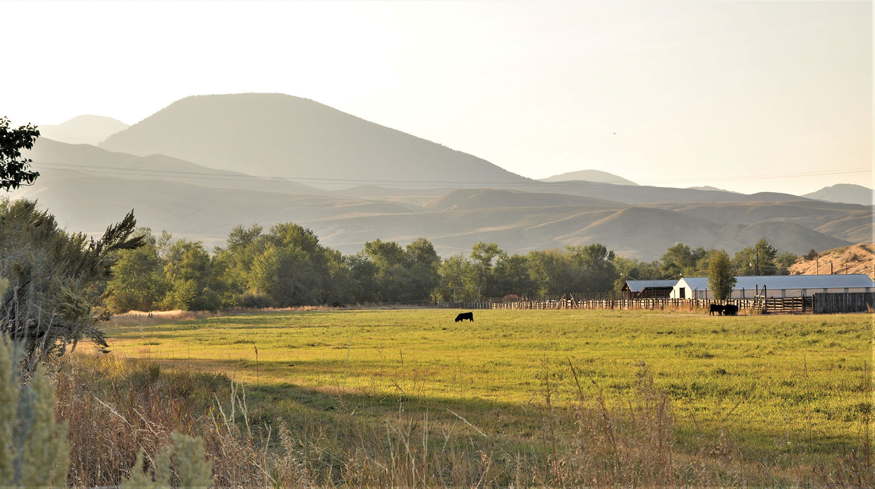 Muleshoe Ranch Sold Idaho Hall and Hall