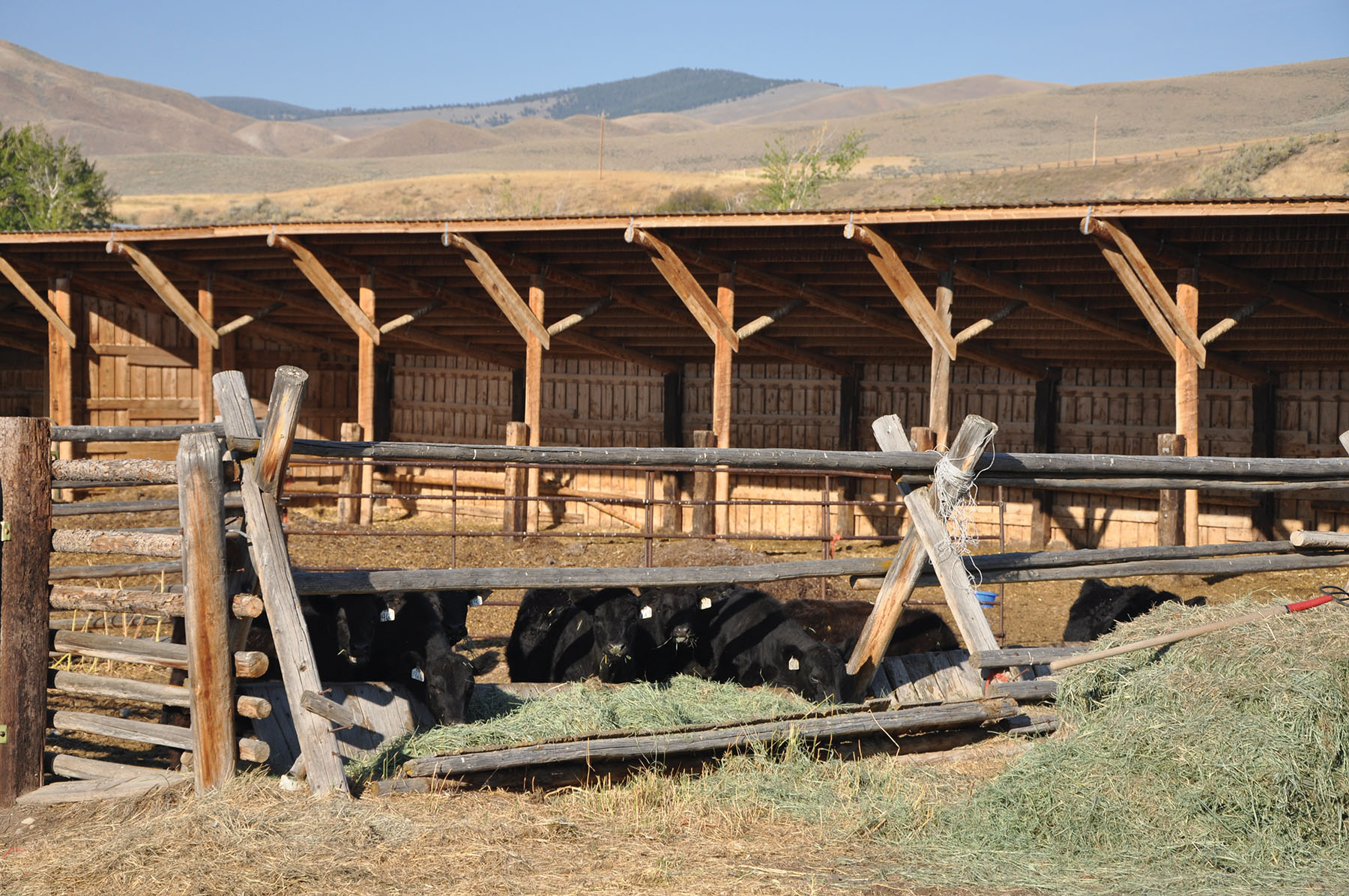 Muleshoe Ranch property picture 10 of 60