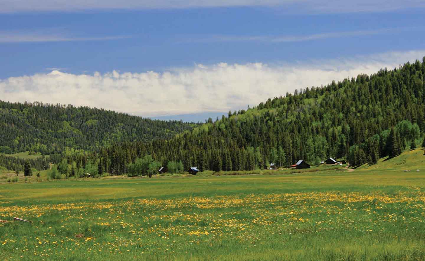 Hidden Lake Ranch property picture 43 of 48