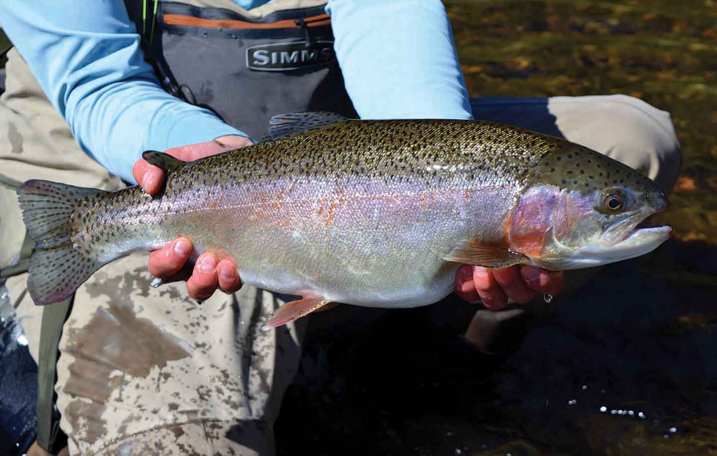 Hidden Lake Ranch property picture 26 of 48