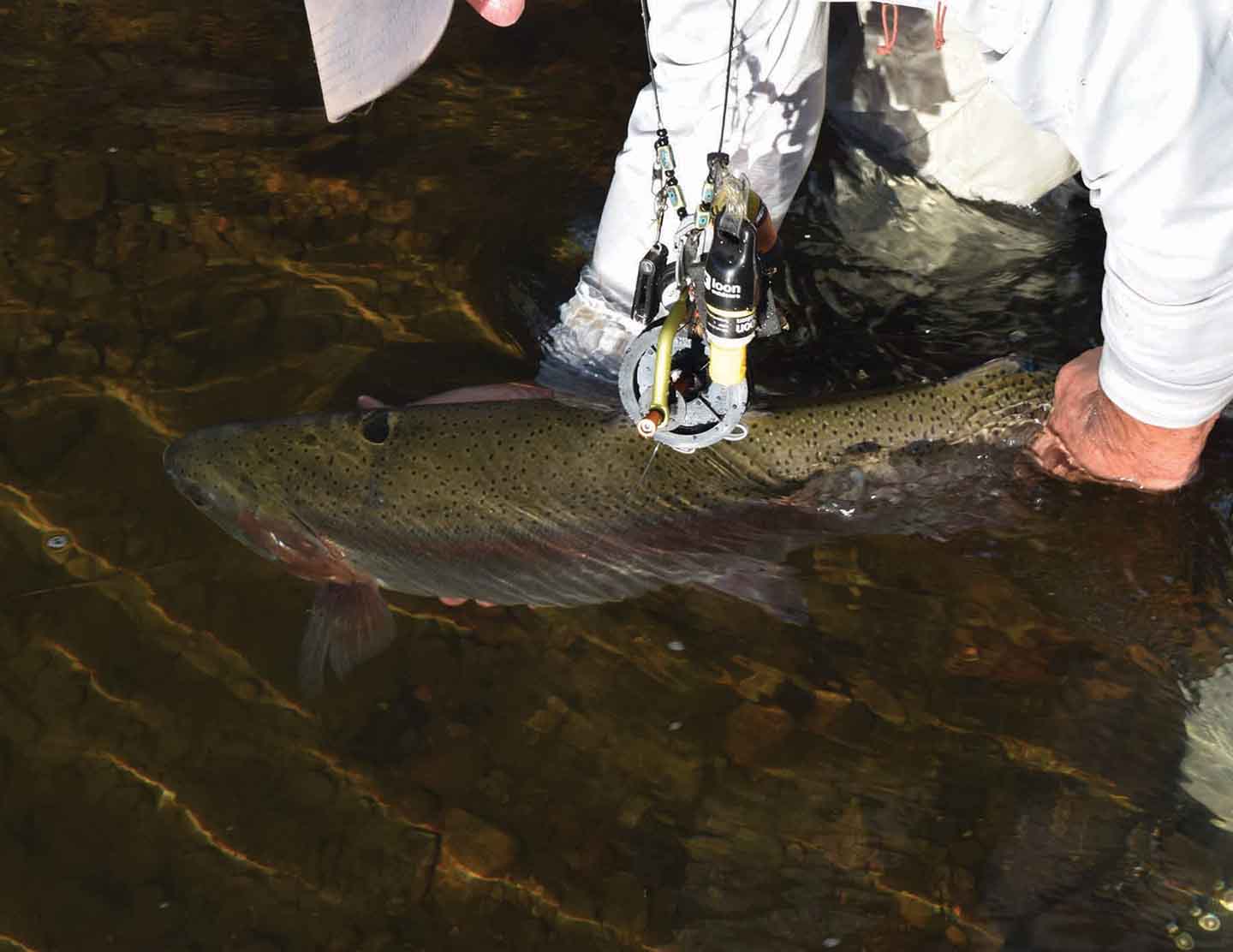 Hidden Lake Ranch property picture 29 of 48