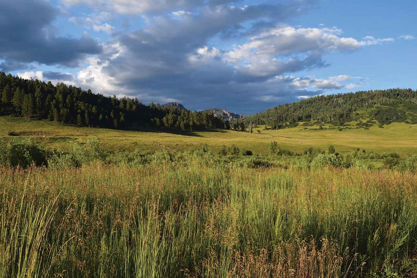 Hidden Lake Ranch property picture 24 of 48