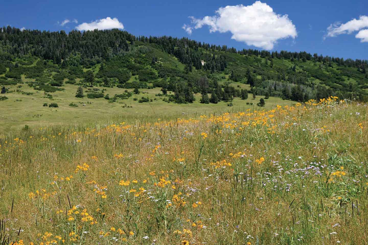 Hidden Lake Ranch property picture 48 of 48