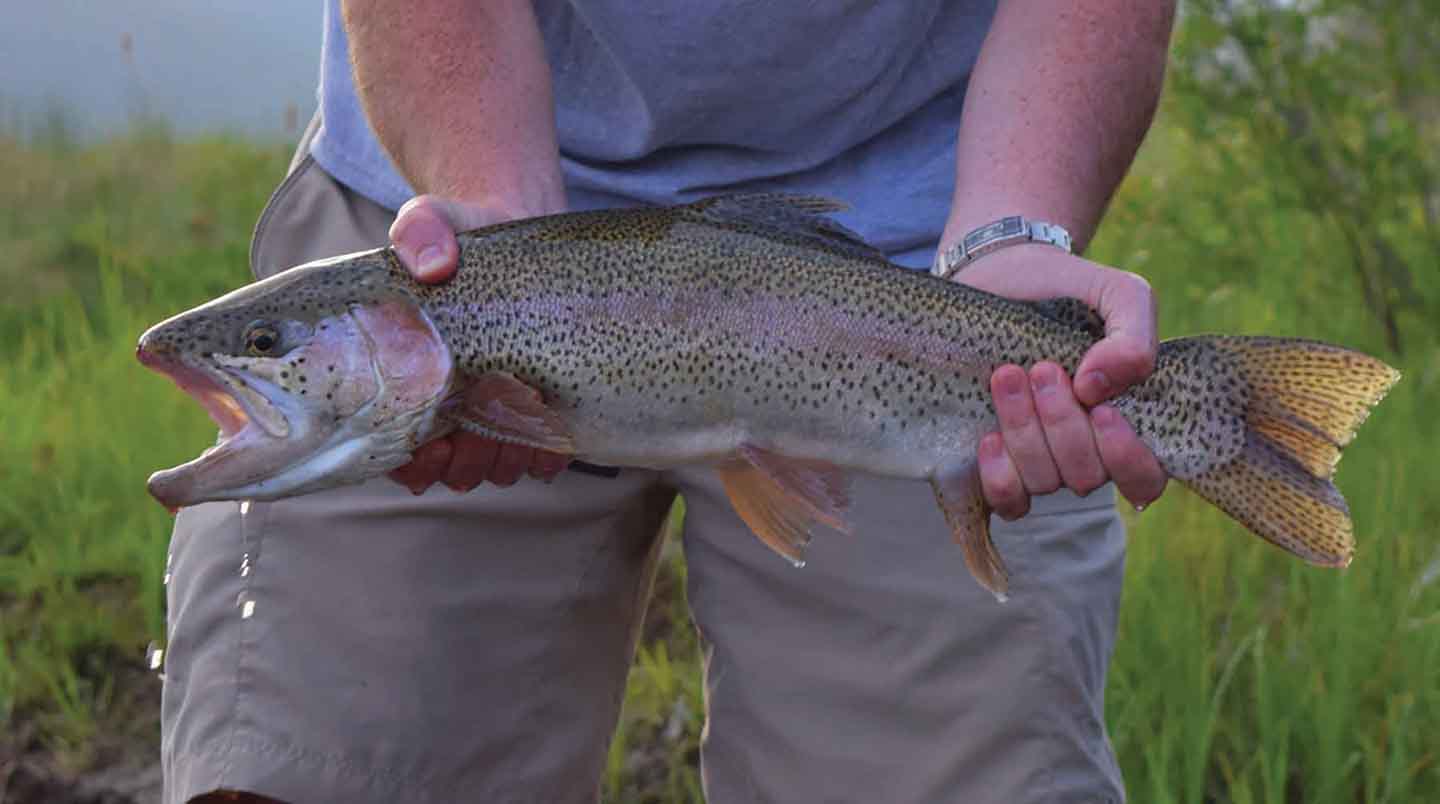 Hidden Lake Ranch property picture 32 of 48