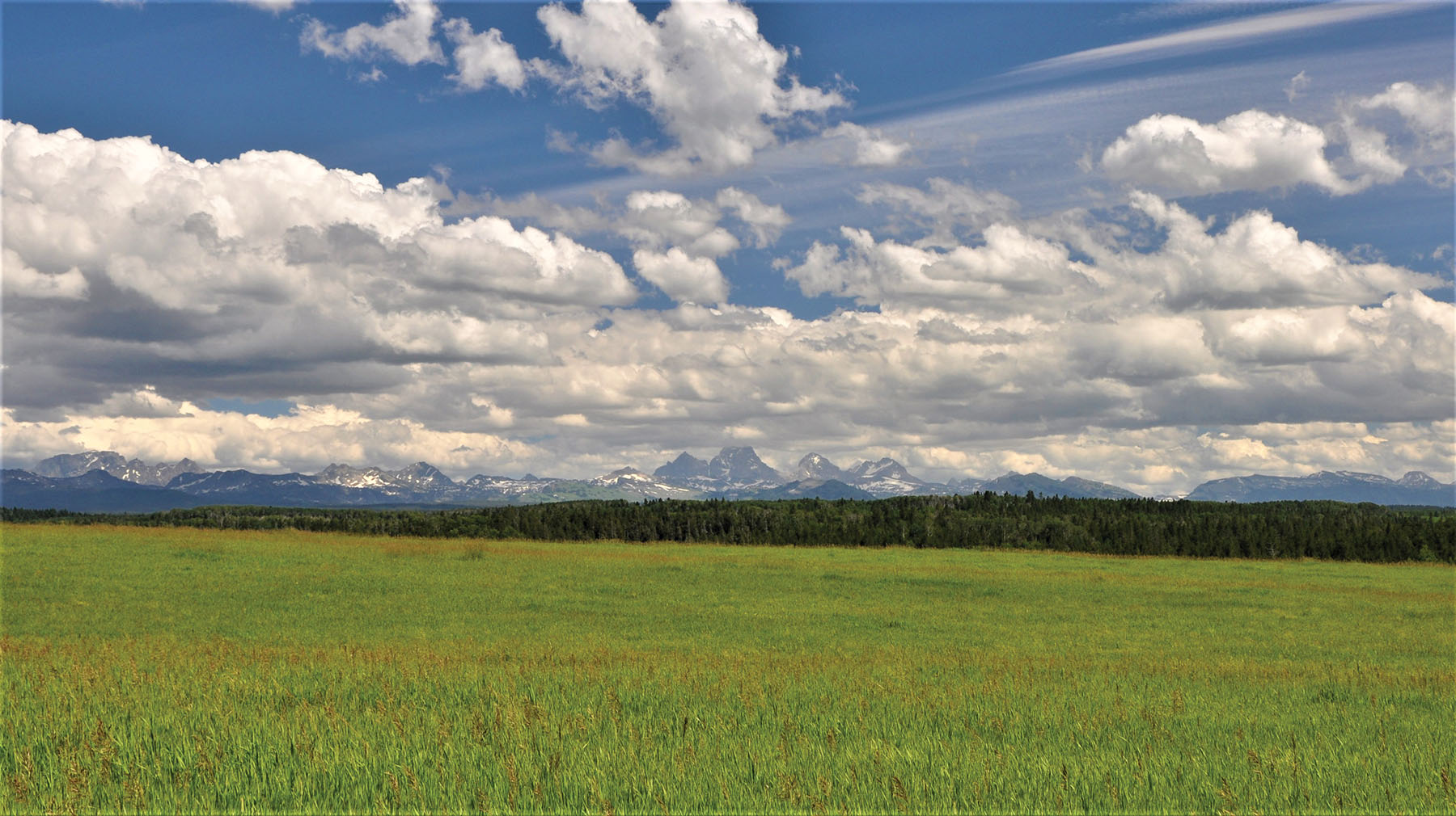 Teton View Ranch on Conant Creek property picture 3 of 41