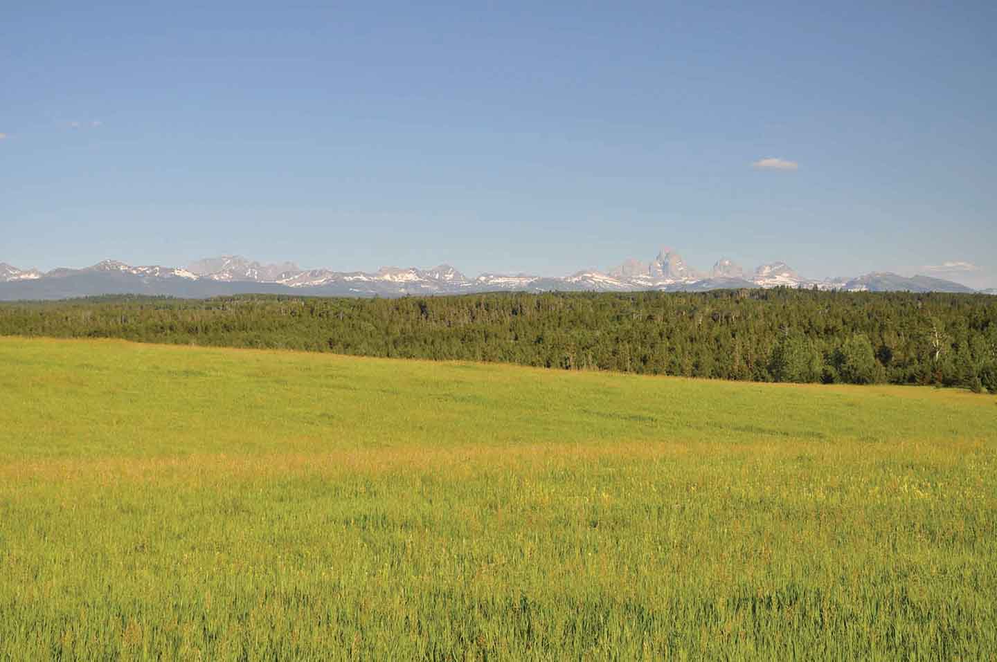 Teton View Ranch on Conant Creek property picture 27 of 41