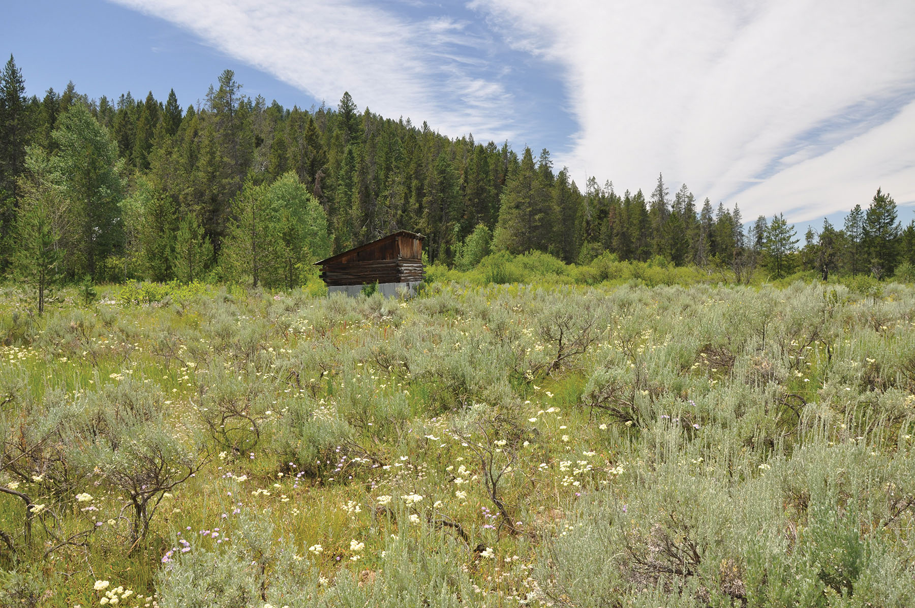 Teton View Ranch on Conant Creek property picture 5 of 41