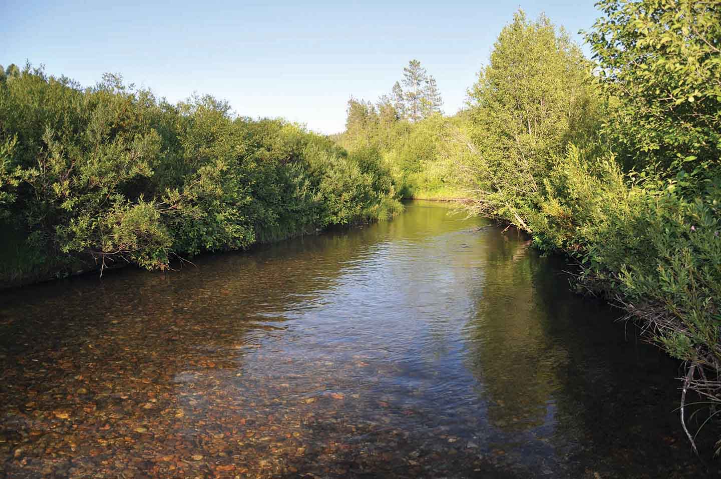 Teton View Ranch on Conant Creek property picture 6 of 41