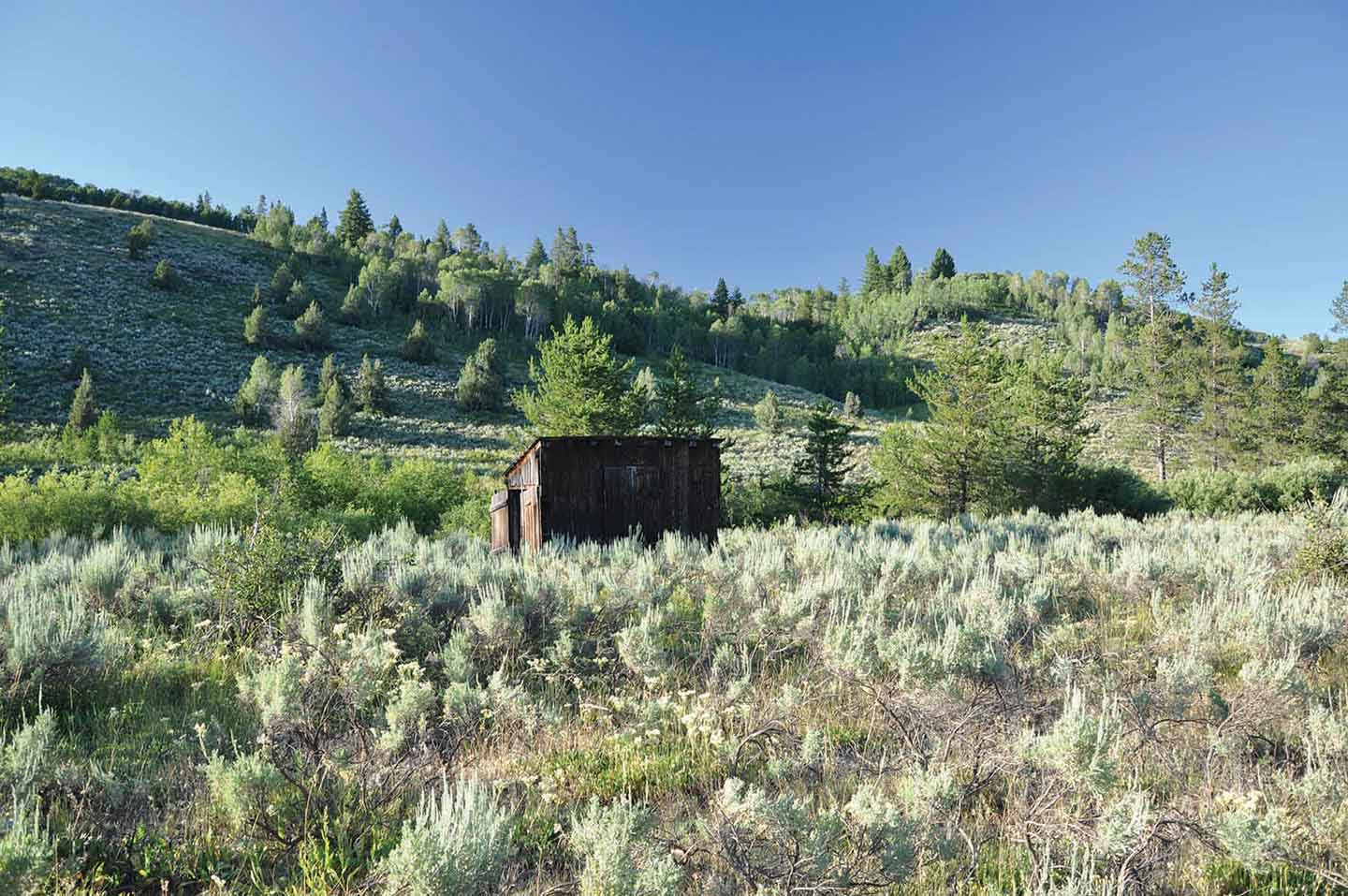 Teton View Ranch on Conant Creek property picture 35 of 41