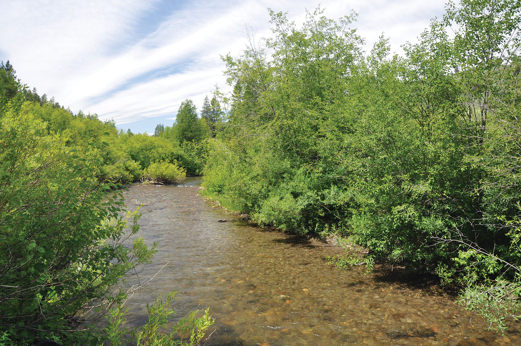Teton View Ranch on Conant Creek property picture 8 of 41