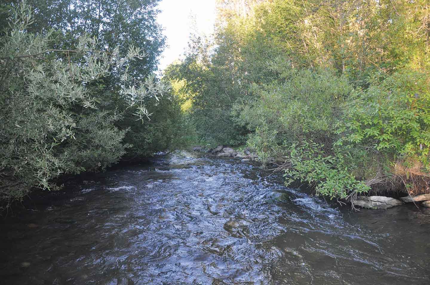 Teton View Ranch on Conant Creek property picture 29 of 41