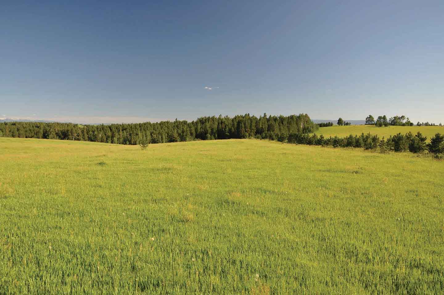 Teton View Ranch on Conant Creek property picture 23 of 41