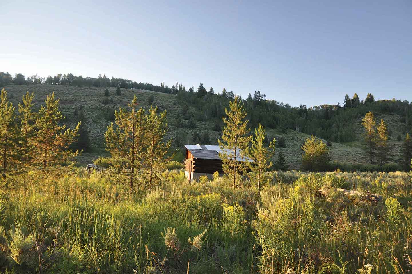 Teton View Ranch on Conant Creek property picture 25 of 41