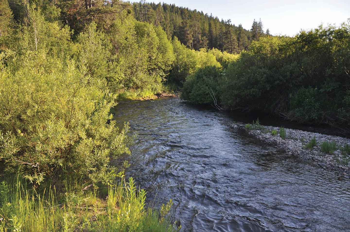 Teton View Ranch on Conant Creek property picture 36 of 41