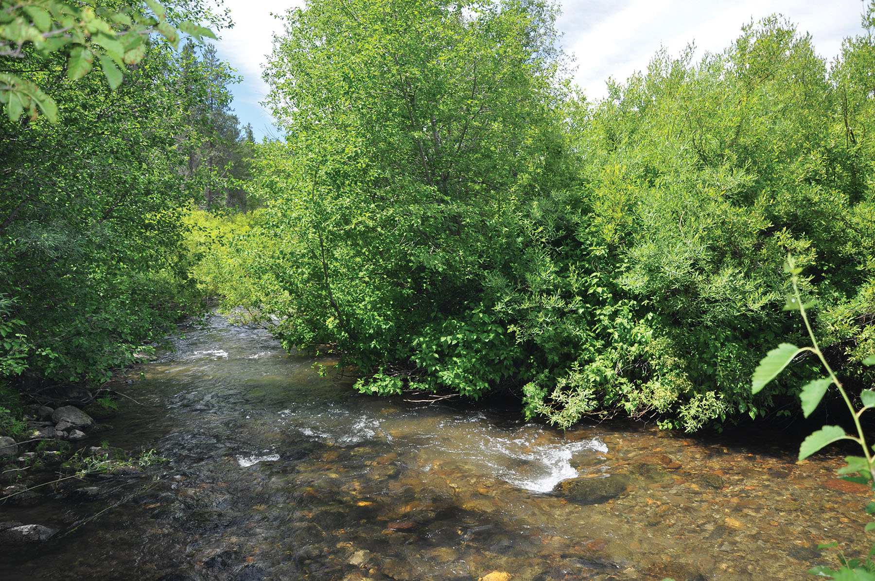 Teton View Ranch on Conant Creek property picture 2 of 41