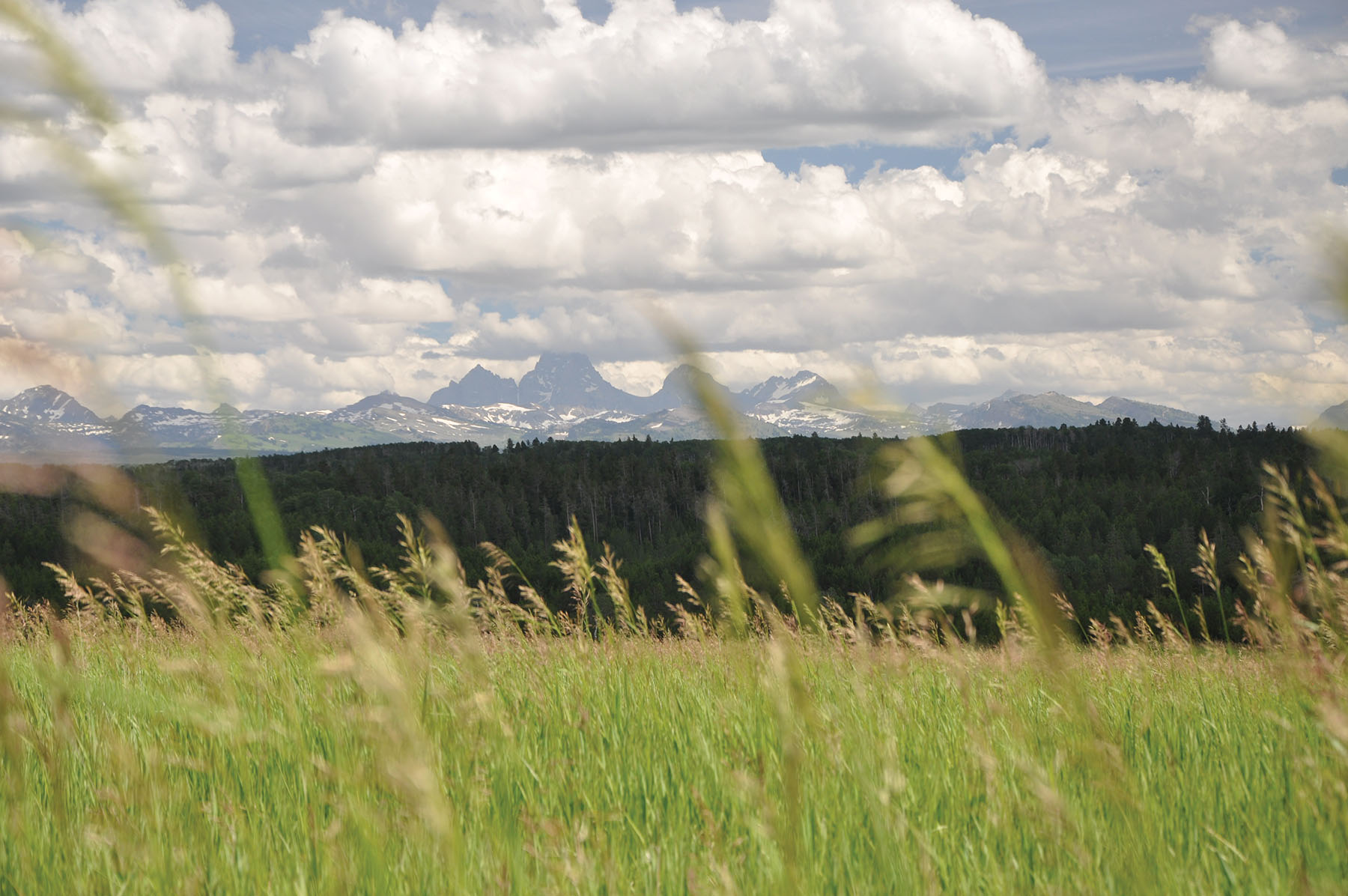 Teton View Ranch on Conant Creek property picture 16 of 41
