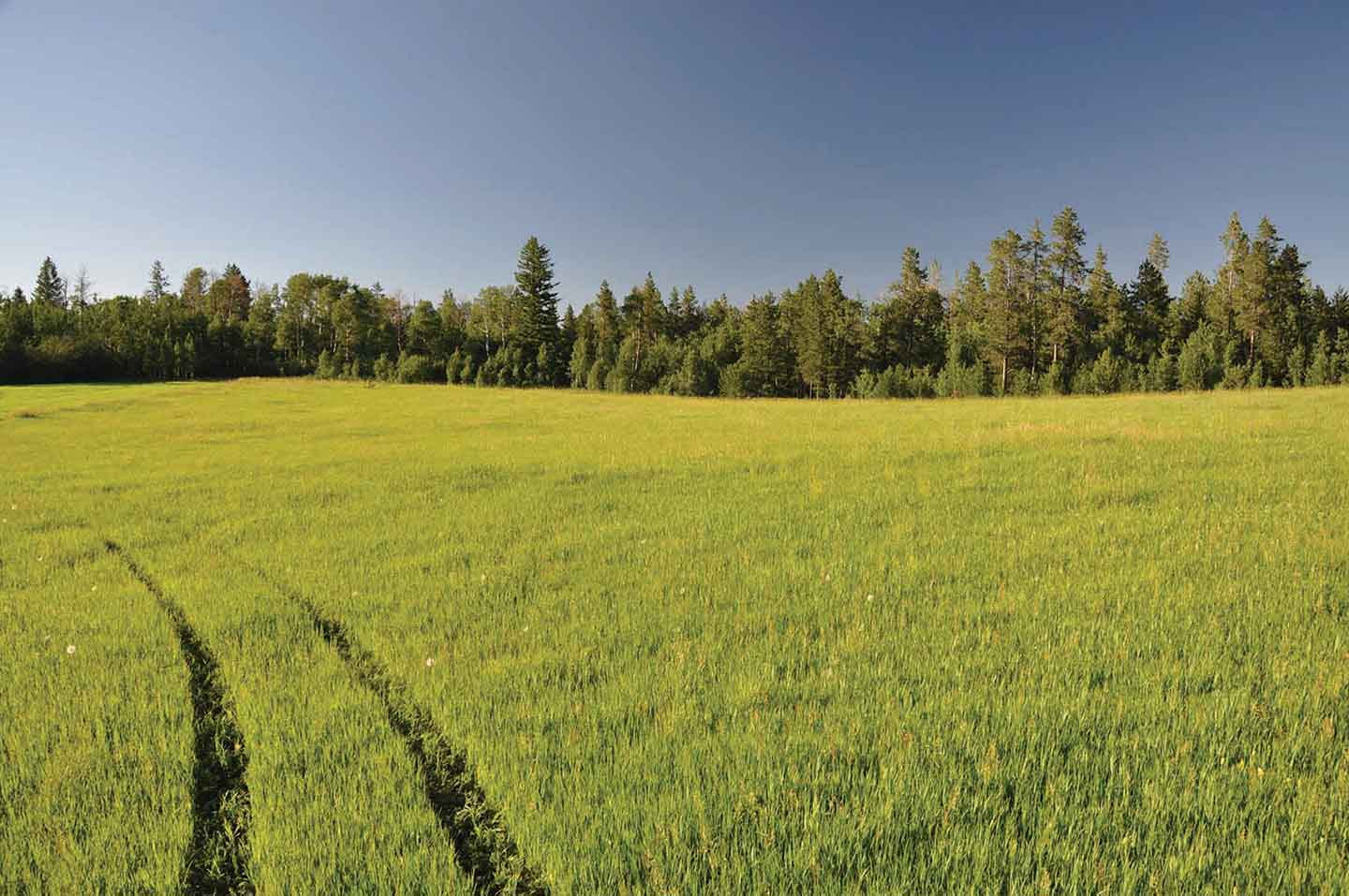 Teton View Ranch on Conant Creek property picture 21 of 41
