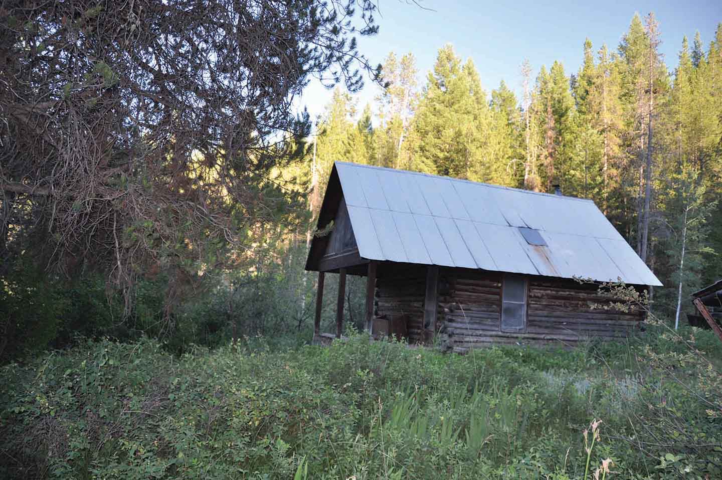 Teton View Ranch on Conant Creek property picture 10 of 41