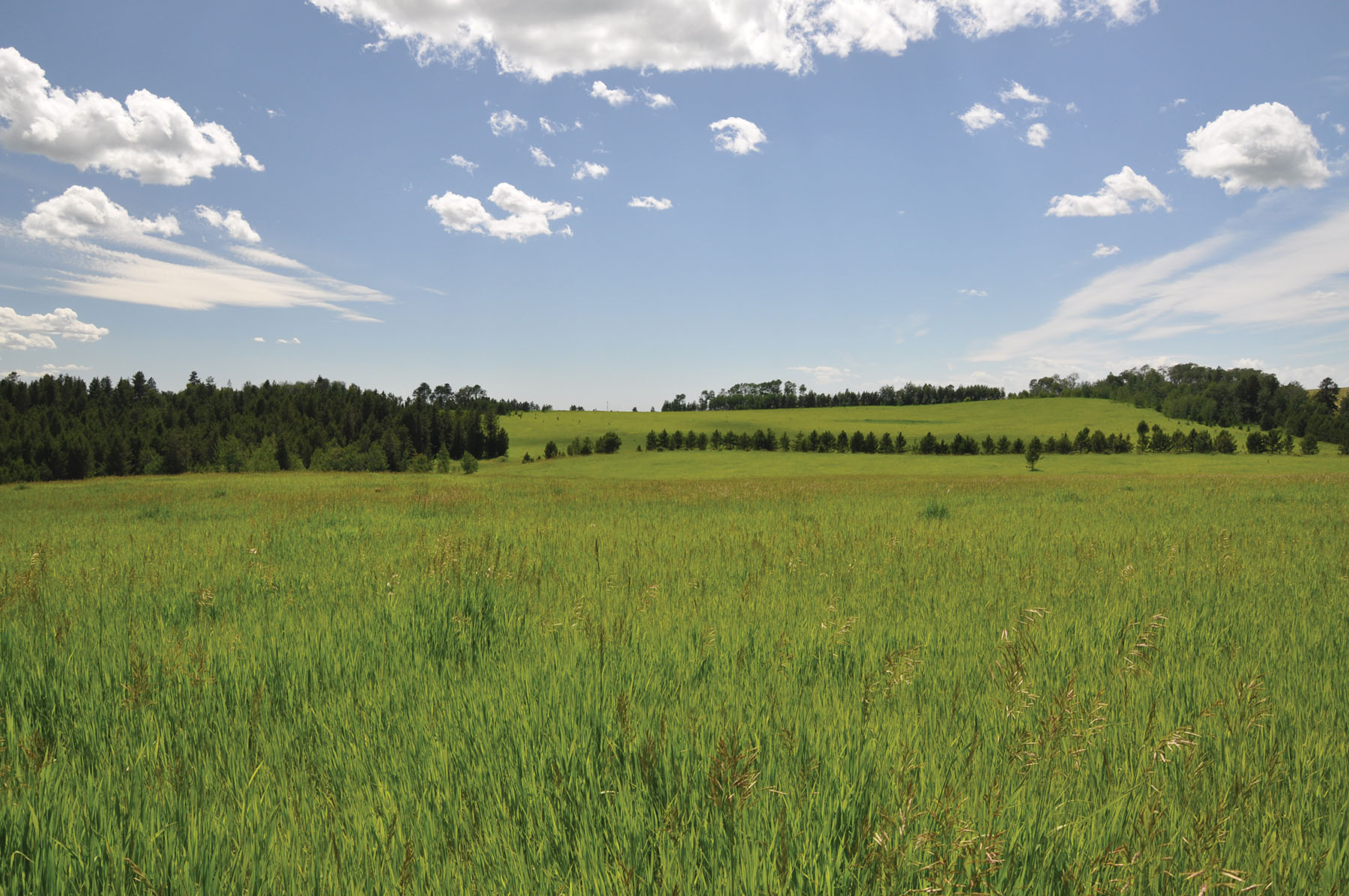 Teton View Ranch on Conant Creek property picture 19 of 41