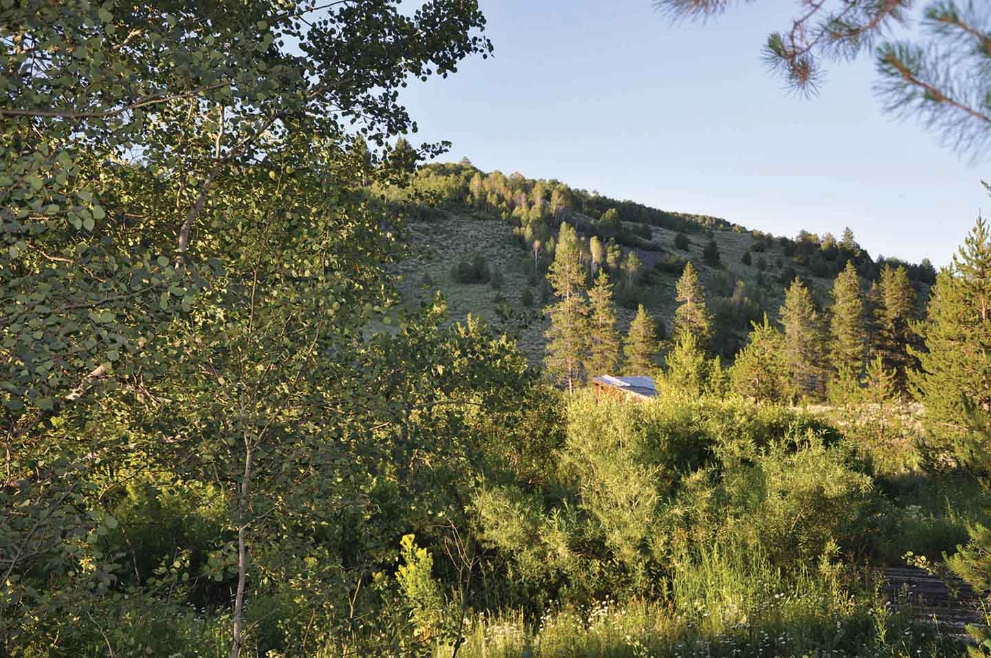 Teton View Ranch on Conant Creek property picture 40 of 41