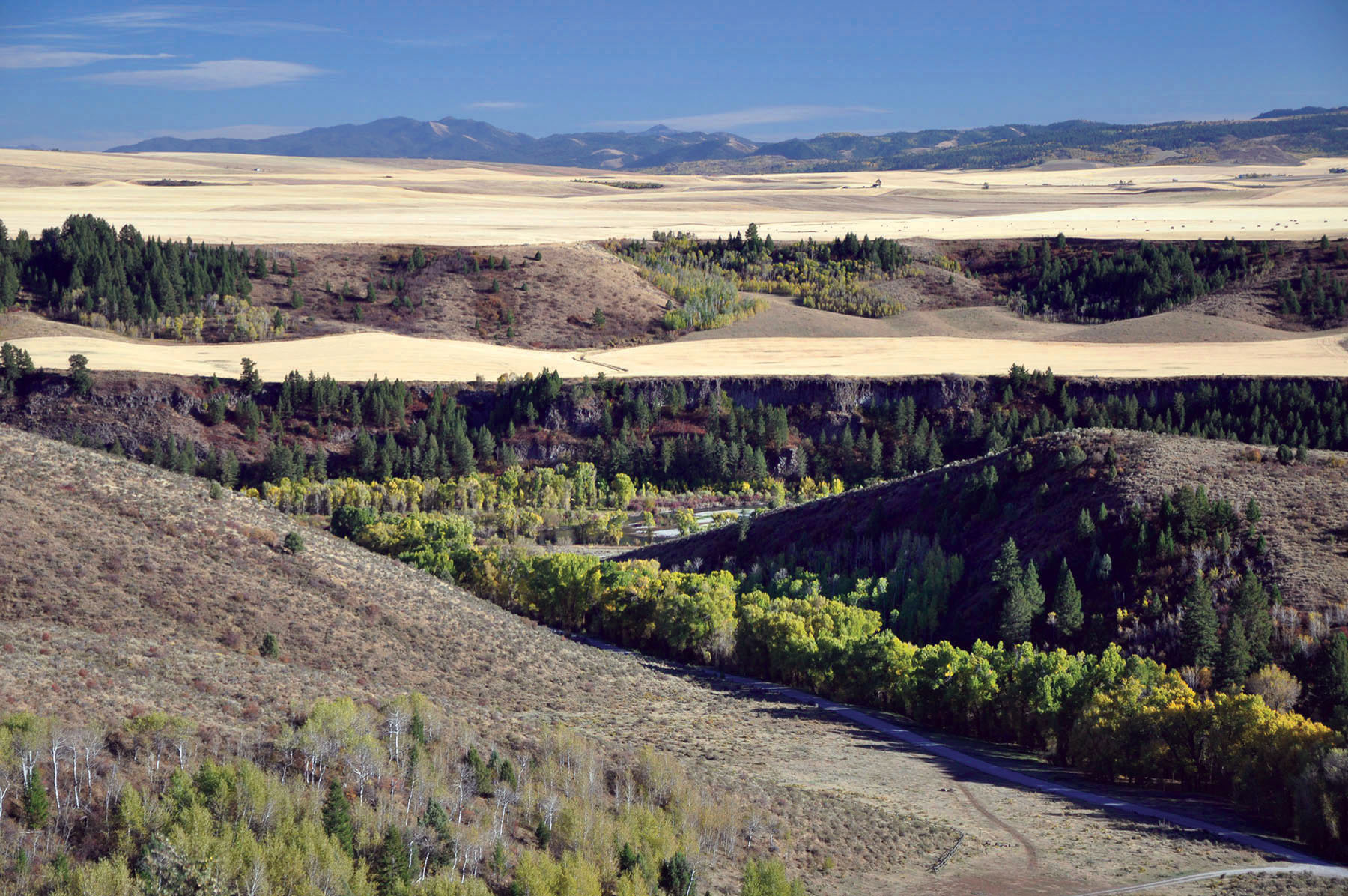 Paradise Ranch on the South Fork Bench property picture 8 of 18