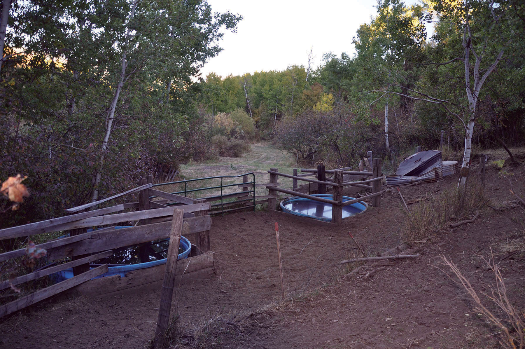 Paradise Ranch on the South Fork Bench property picture 10 of 18