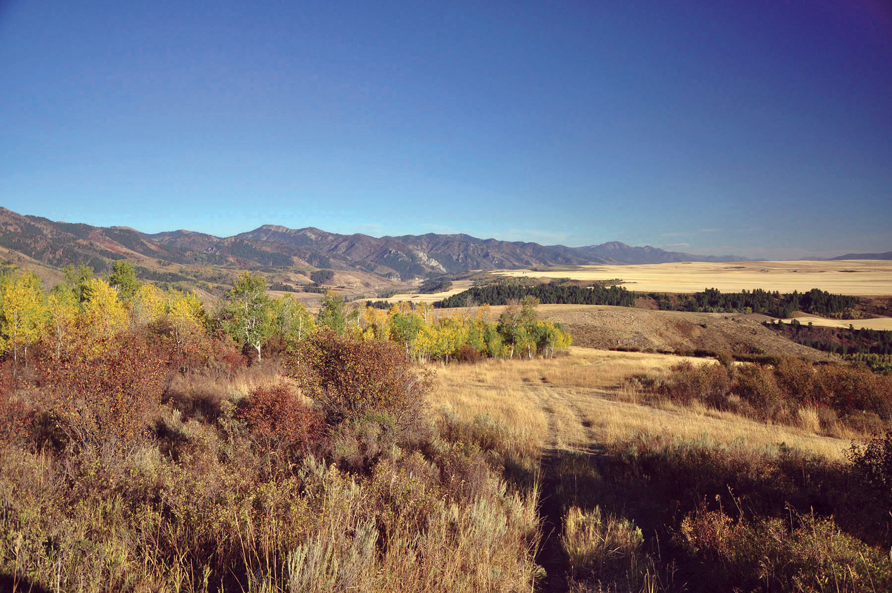 Paradise Ranch on the South Fork Bench property picture 3 of 18