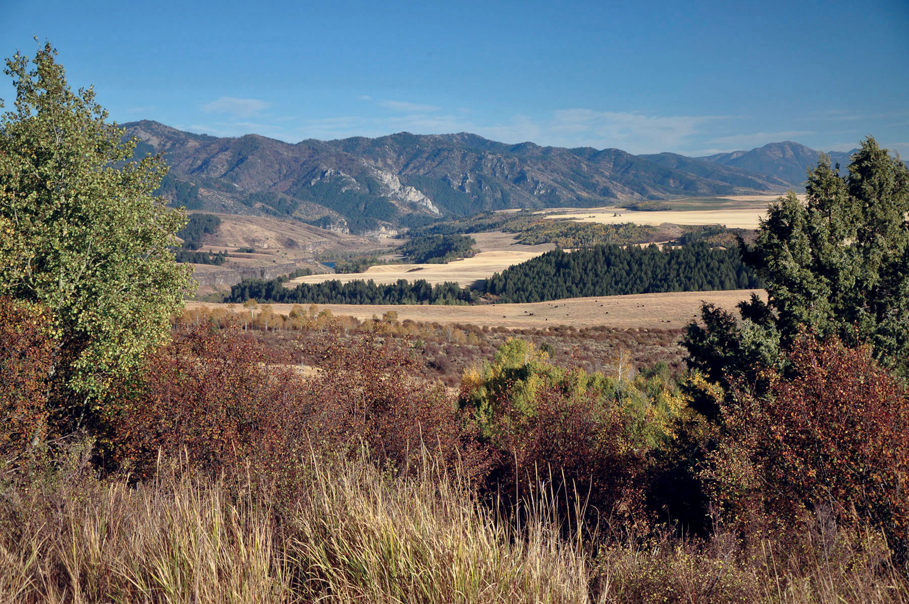 Paradise Ranch on the South Fork Bench property picture 9 of 18