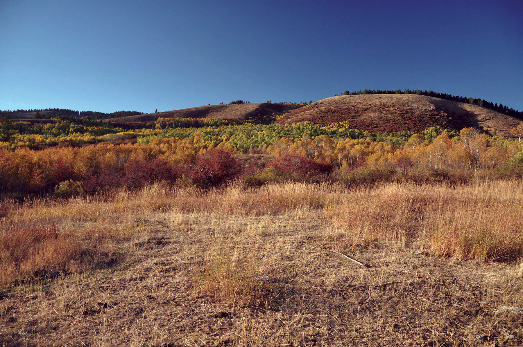 Paradise Ranch on the South Fork Bench property picture 15 of 18