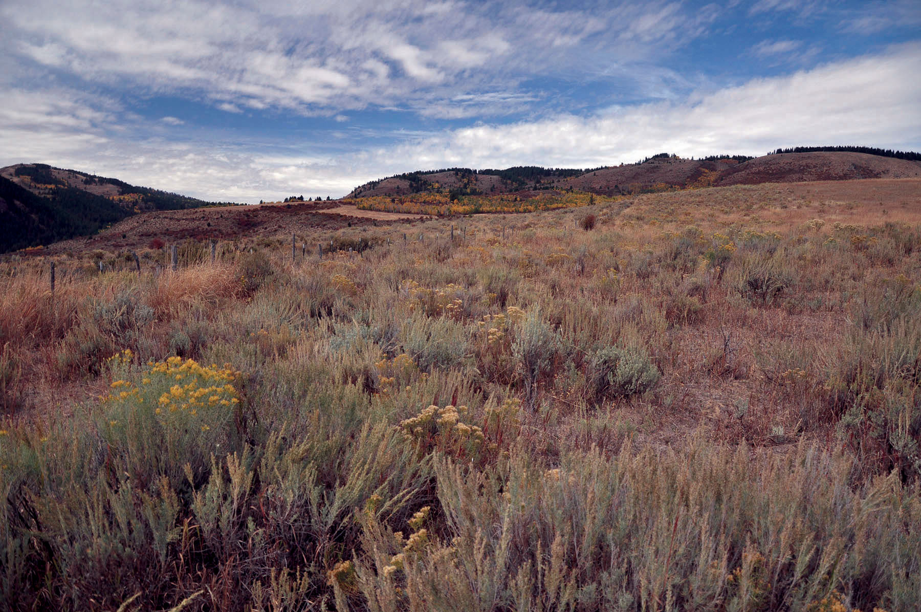 Paradise Ranch on the South Fork Bench property picture 14 of 18