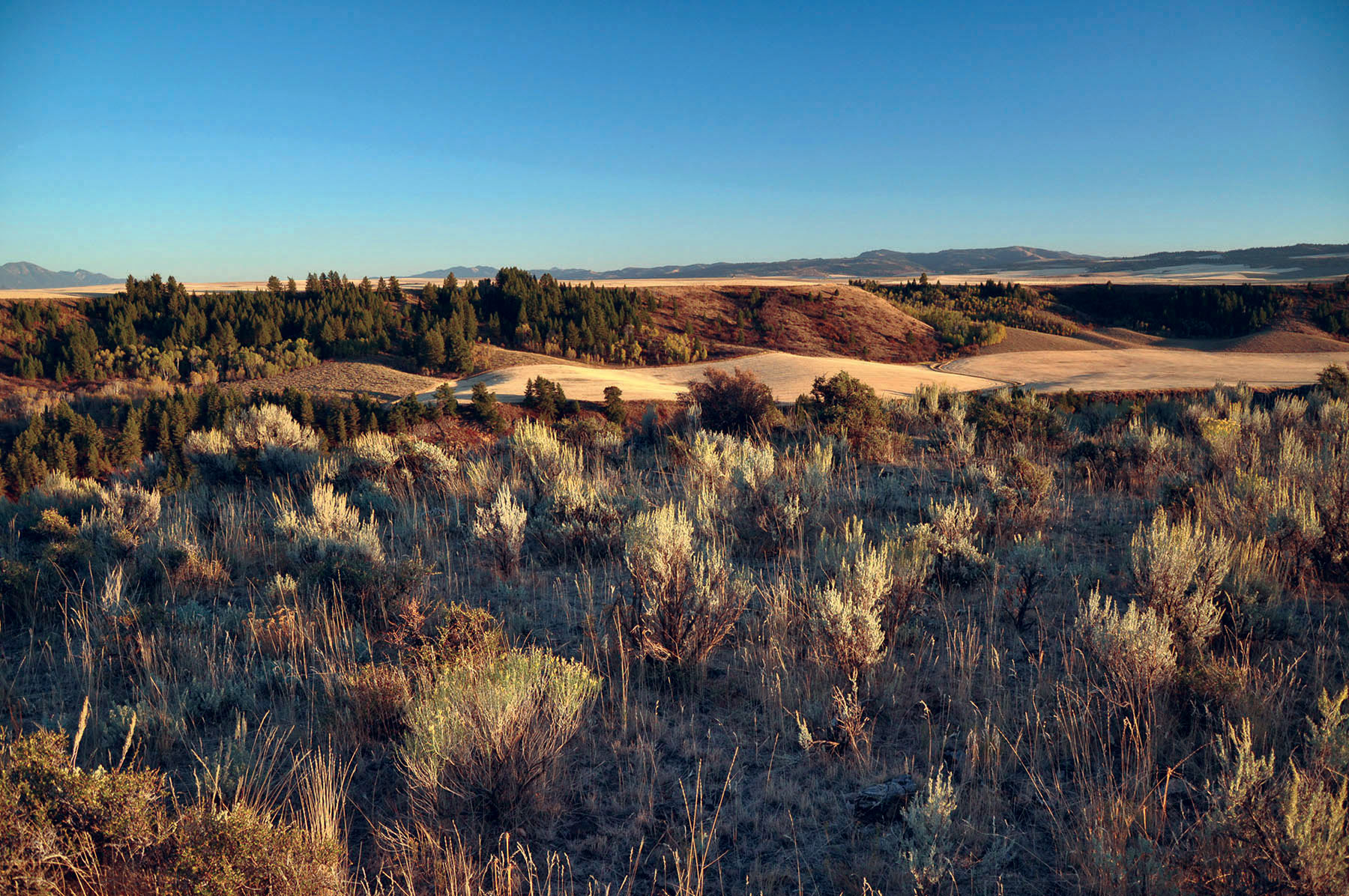 Paradise Ranch on the South Fork Bench property picture 17 of 18