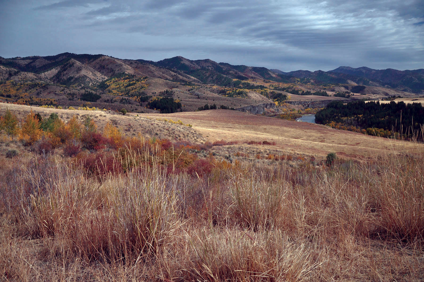 Paradise Ranch on the South Fork Bench property picture 18 of 18