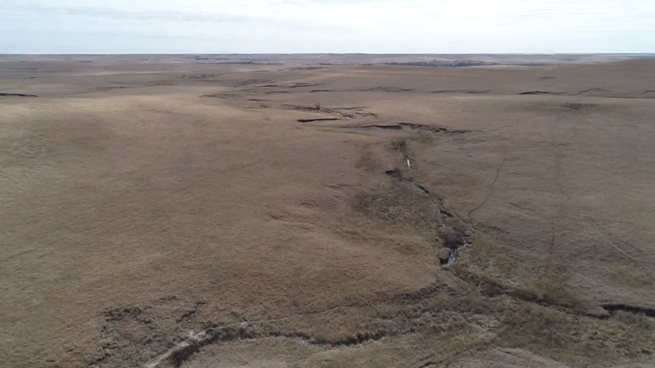 Cowan Farm & Ranch property picture 12 of 30