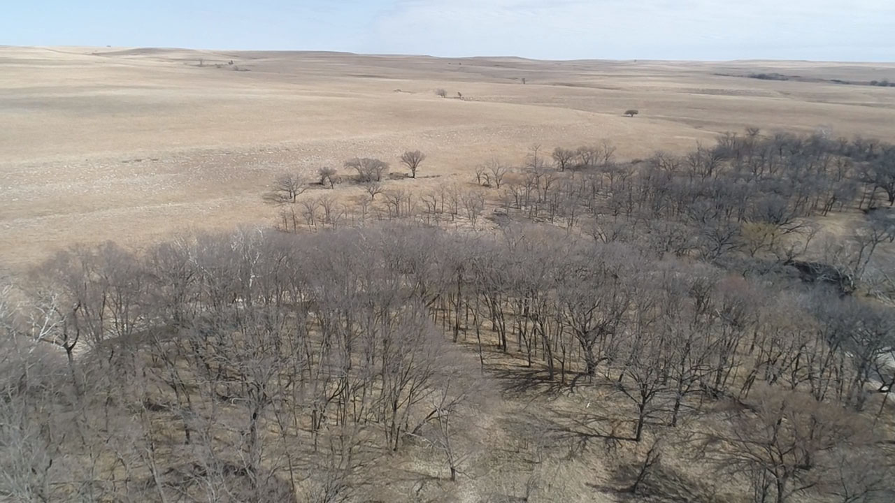 Cowan Farm & Ranch property picture 19 of 30