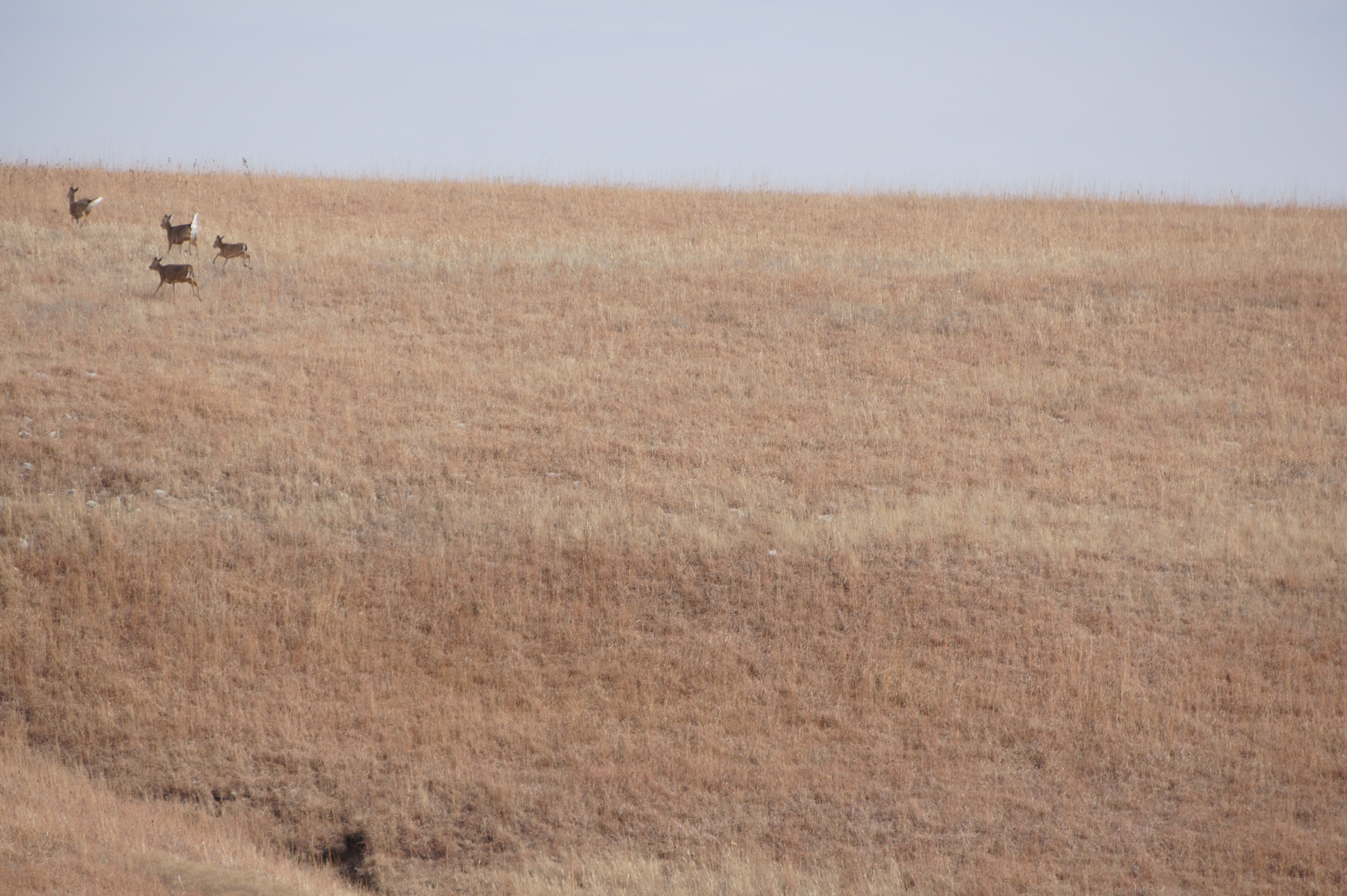 Cowan Farm & Ranch property picture 2 of 30