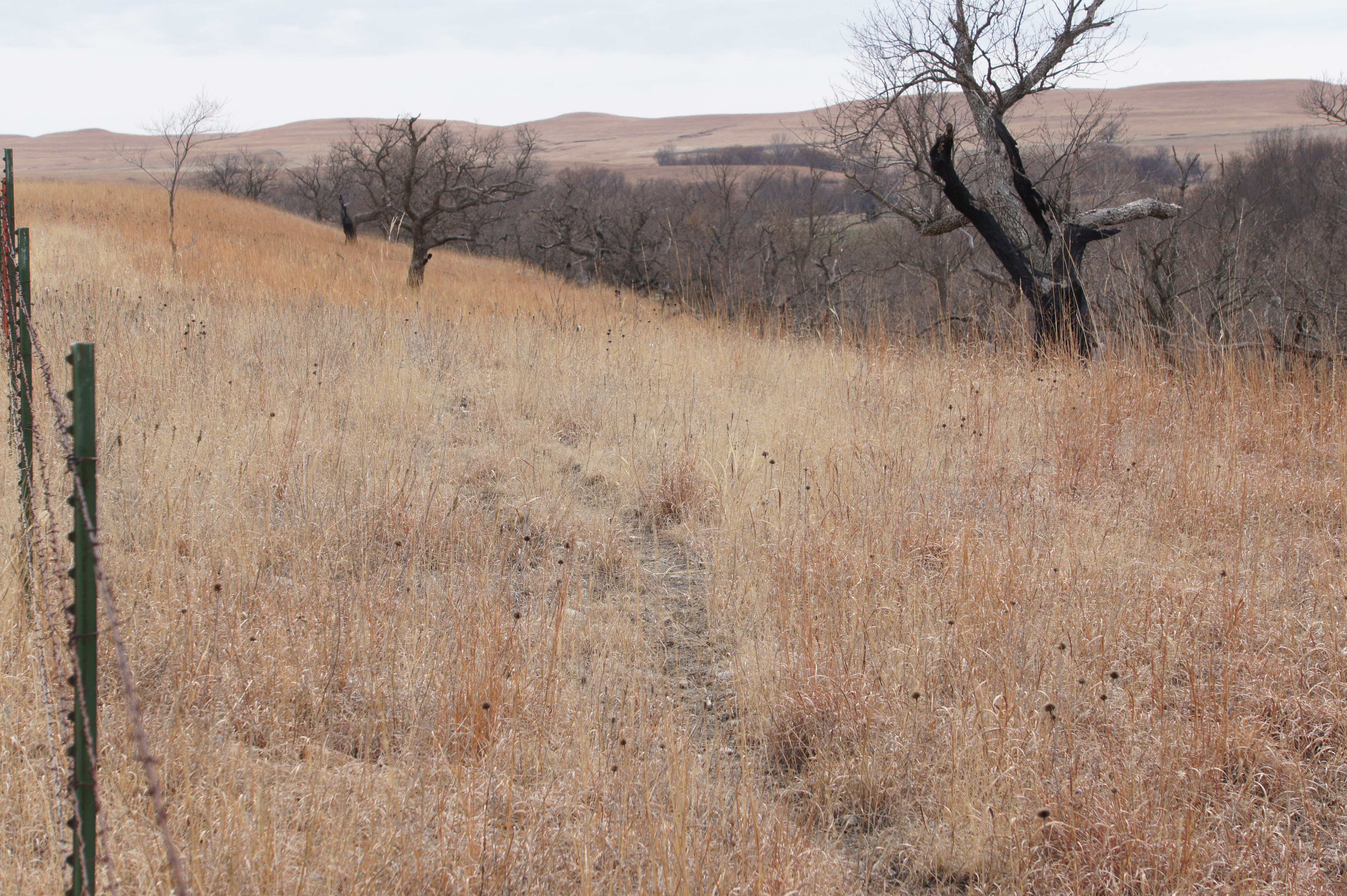 Cowan Farm & Ranch property picture 25 of 30