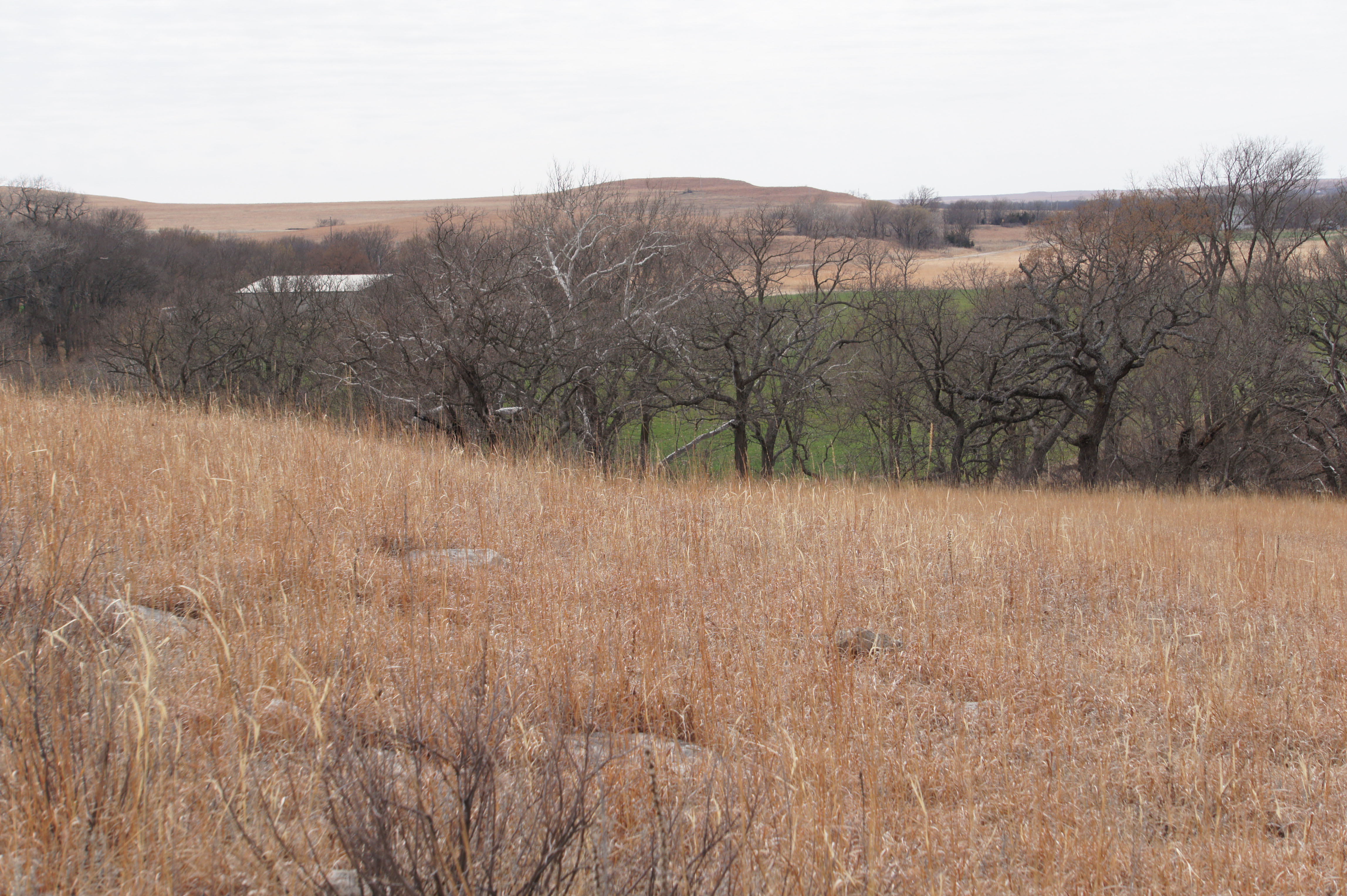 Cowan Farm & Ranch property picture 23 of 30