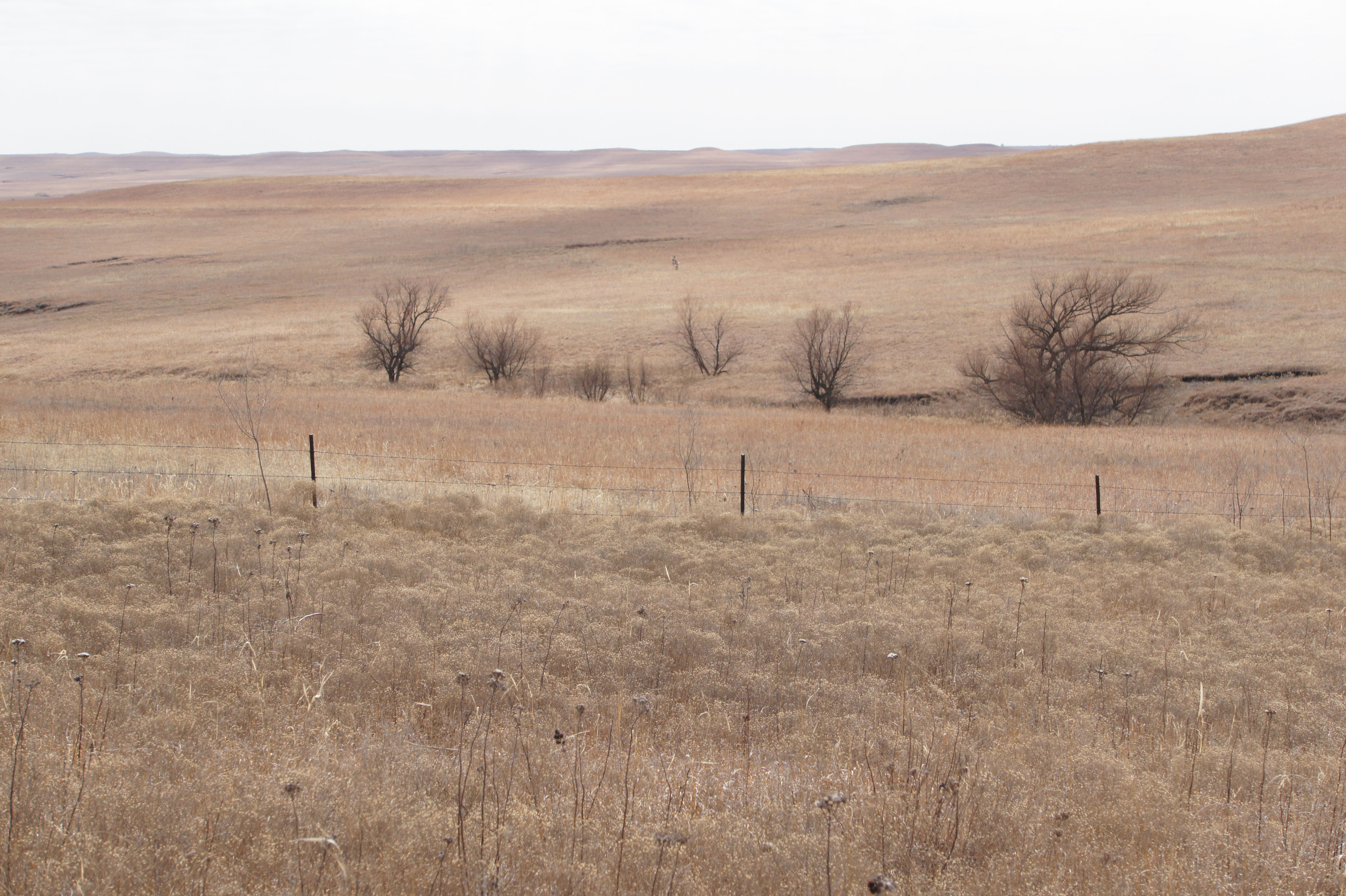 Cowan Farm & Ranch property picture 6 of 30