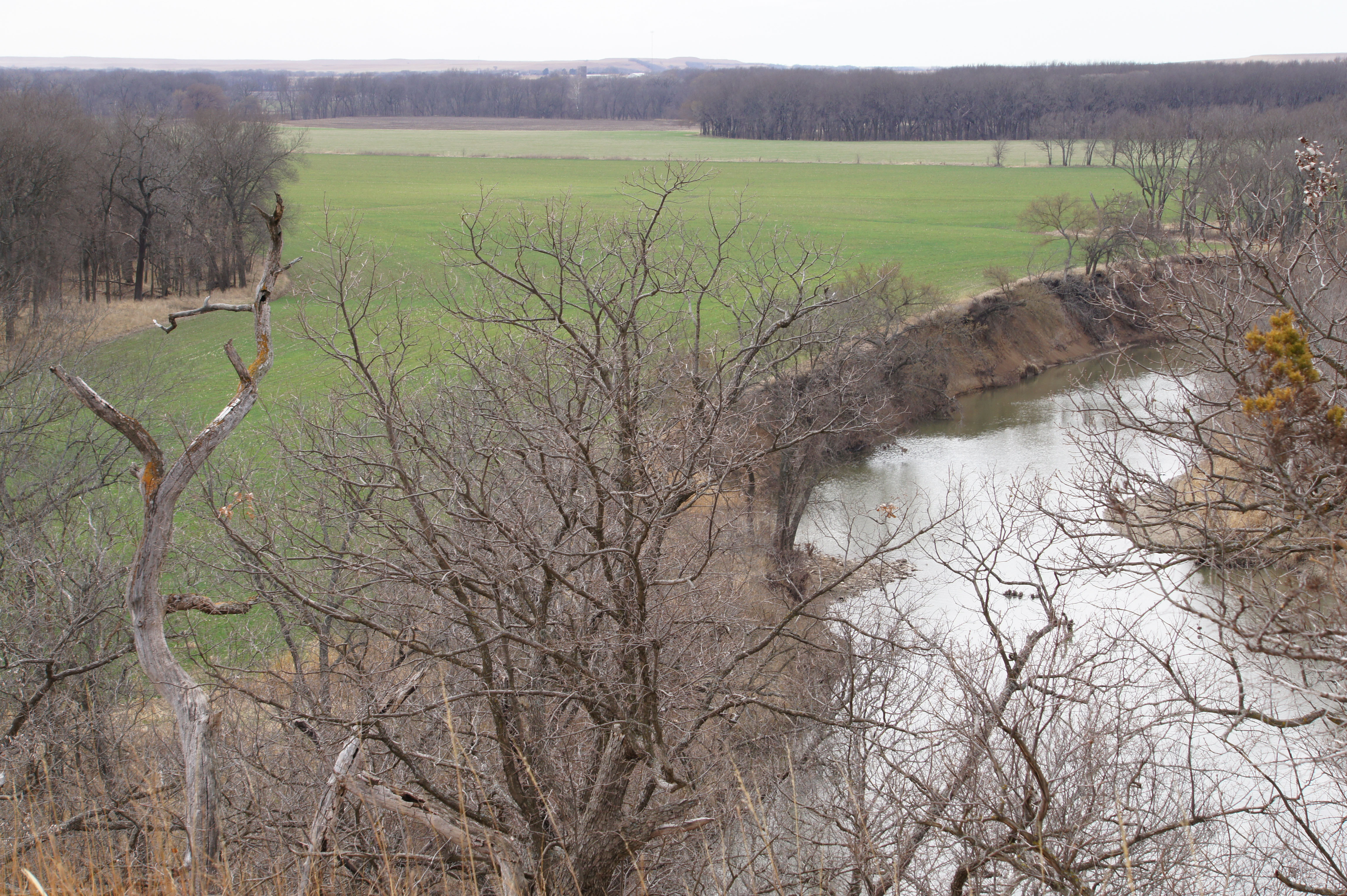 Cowan Farm & Ranch property picture 24 of 30