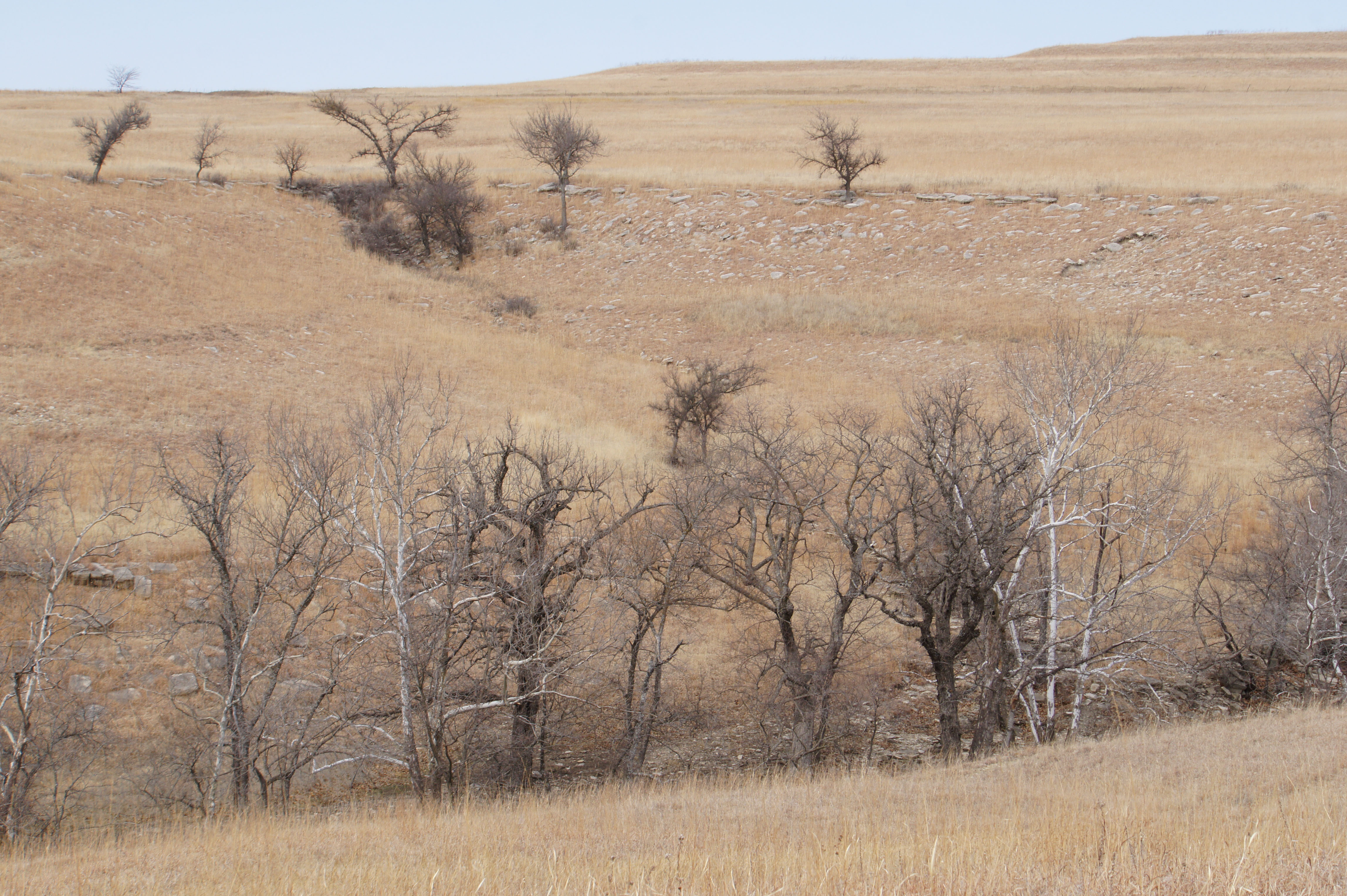 Cowan Farm & Ranch property picture 20 of 30