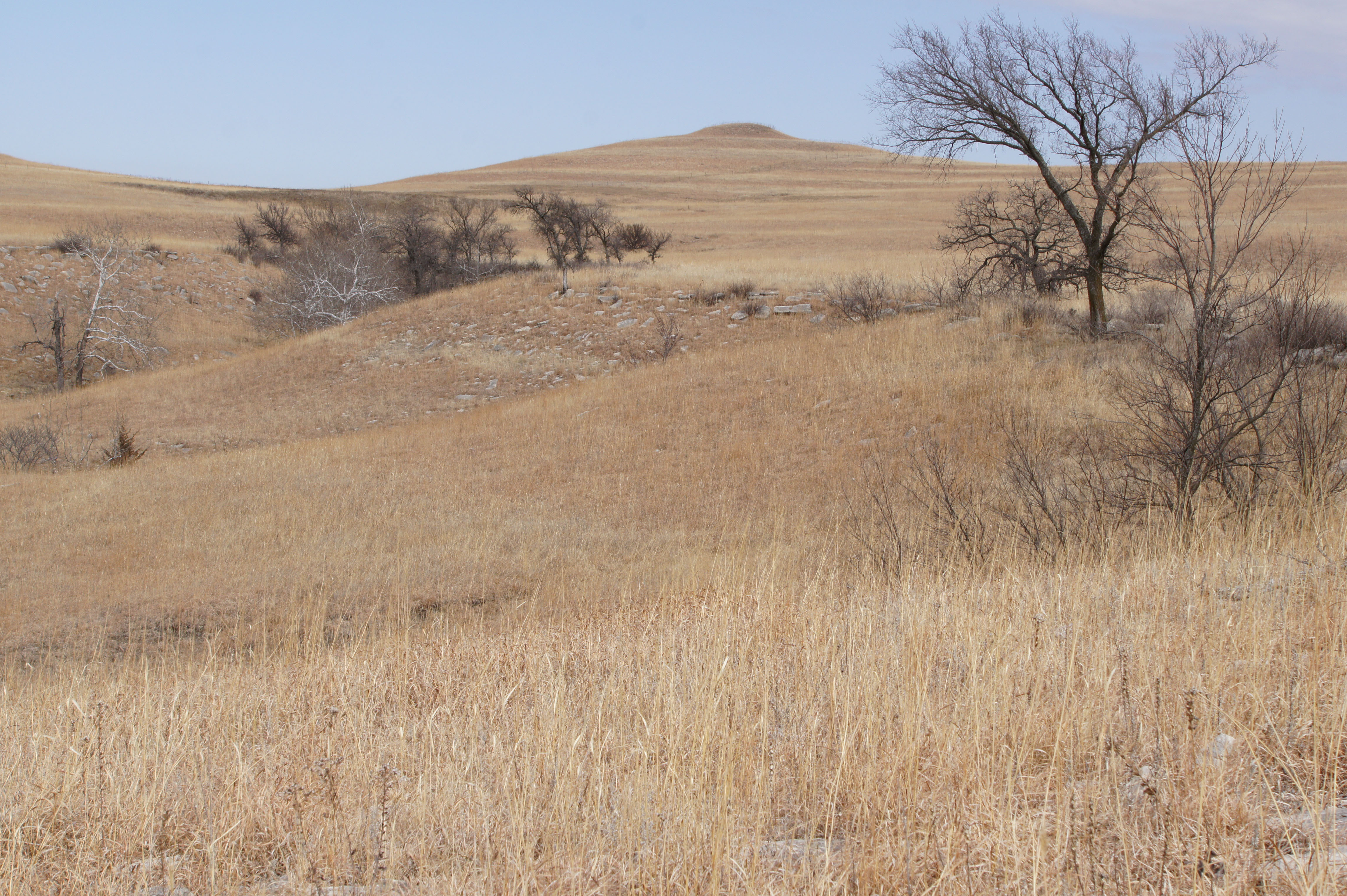 Cowan Farm & Ranch property picture 22 of 30