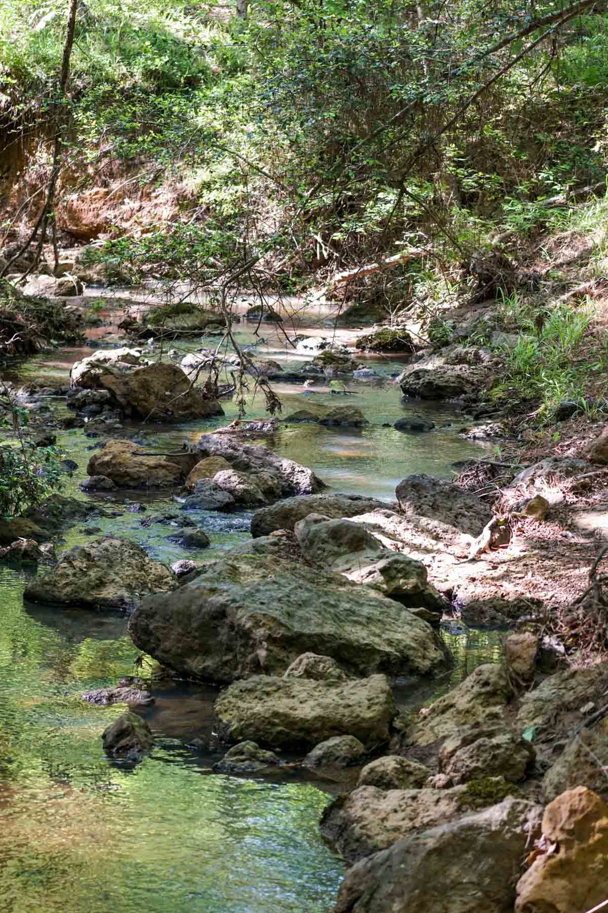 Iron Bridge Creek Ranch property picture 49 of 84